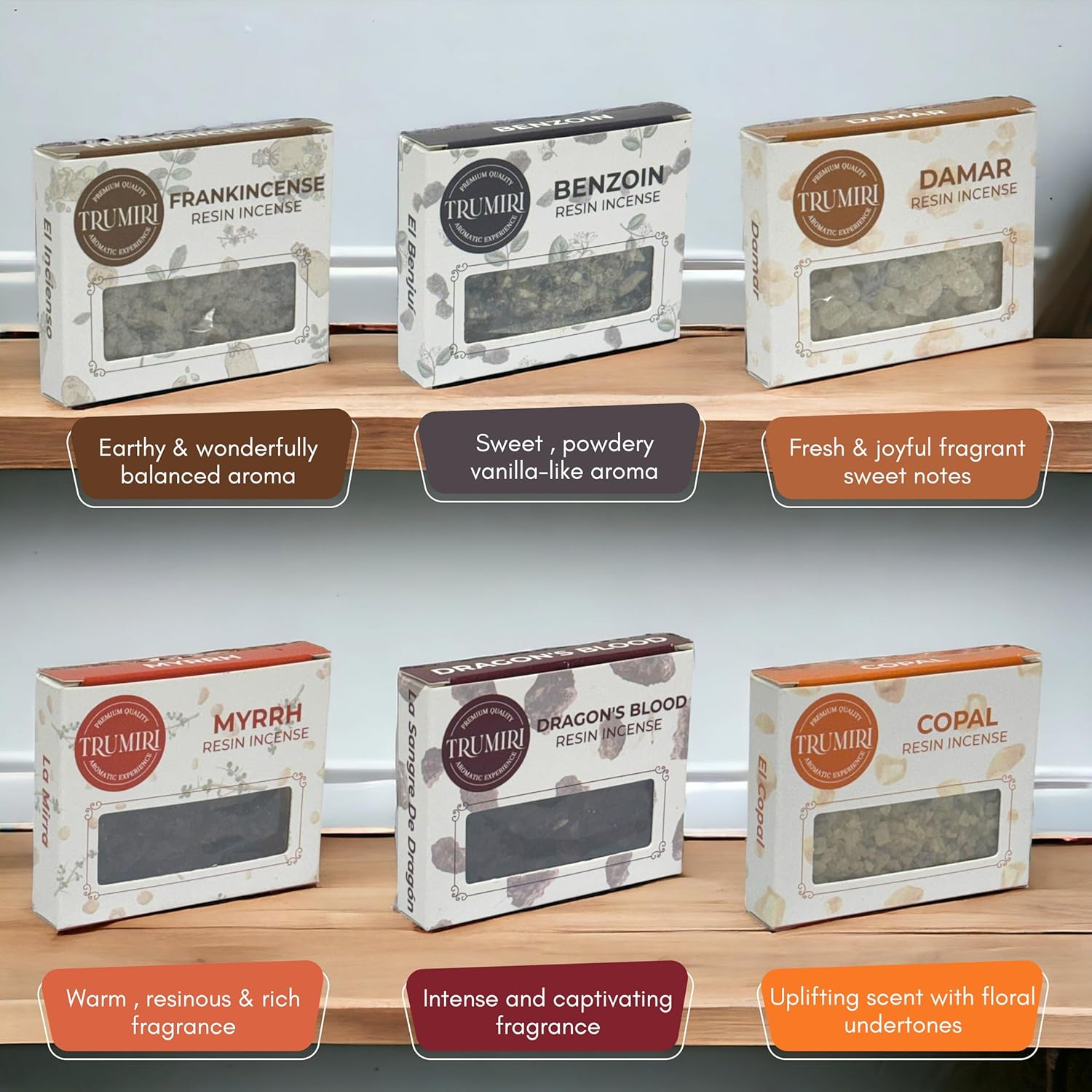 Resin Incense - Natural Tree Gum Sap - 6x30g Variety Pack Including Frankincense and Myrrh Copal Benzoin Dragon's Blood Damar