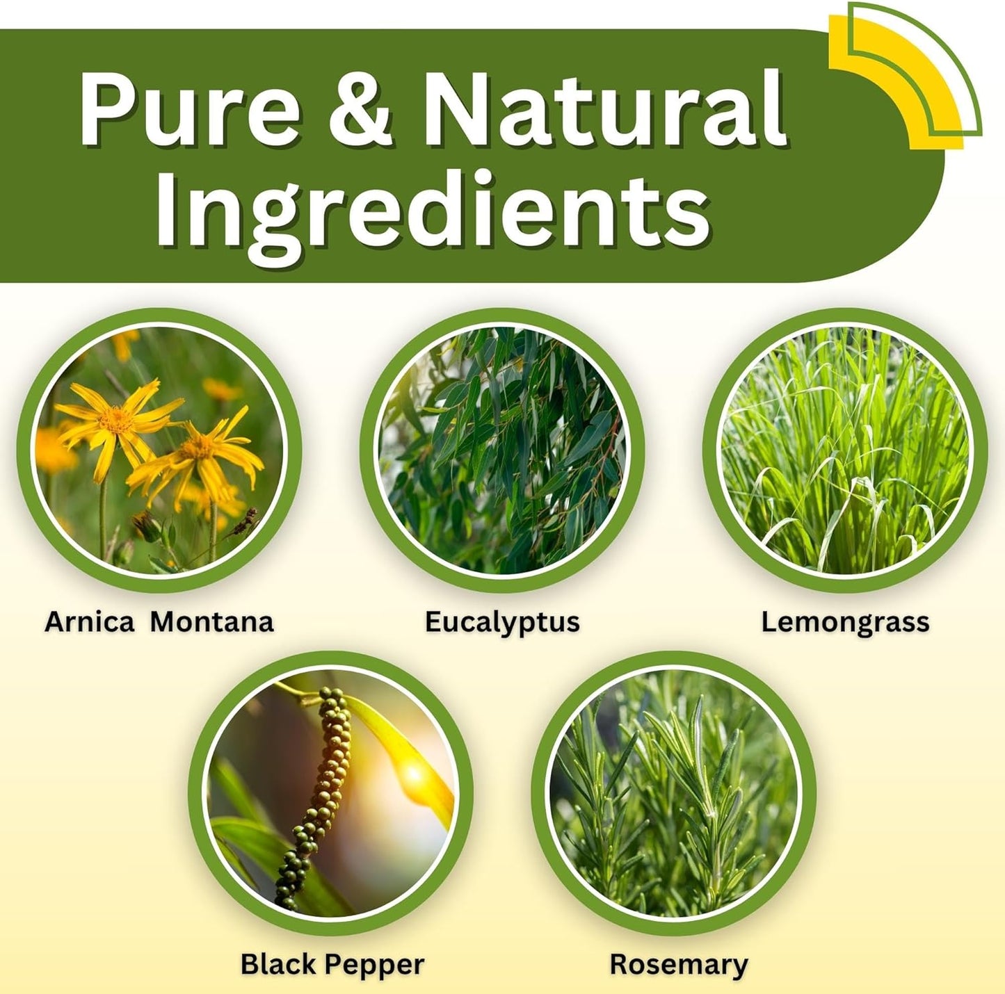 Brookethorne Naturals Arnica Massage Oil for Massage Therapy – Arnica Montana & Lemongrass Essential Oil – All Natural Supports Active Lifestyles – Paraben Free, Made in USA – 16oz