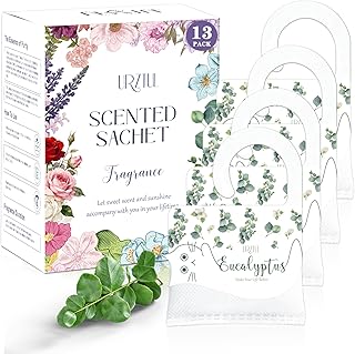 13 PCS Eucalyptus Scented Sachets, Long Lasting Hanging Air Freshener Bags for Closet, Drawer, Shoe Cabinet, Car & Bathroom, Odor Eliminator & Home Fragrance Potpourri Bag