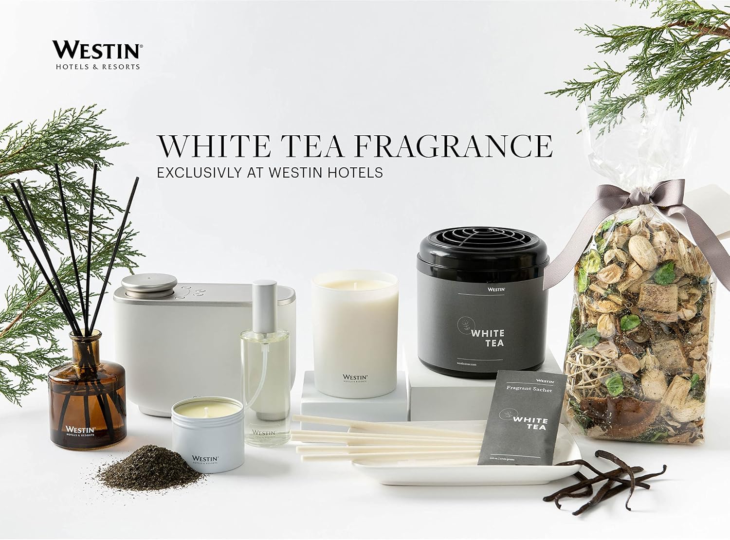 Westin White Tea Candle - Hand-Poured, Soy Candle with Signature White Tea Scent - 12.5 oz. - Set of 3