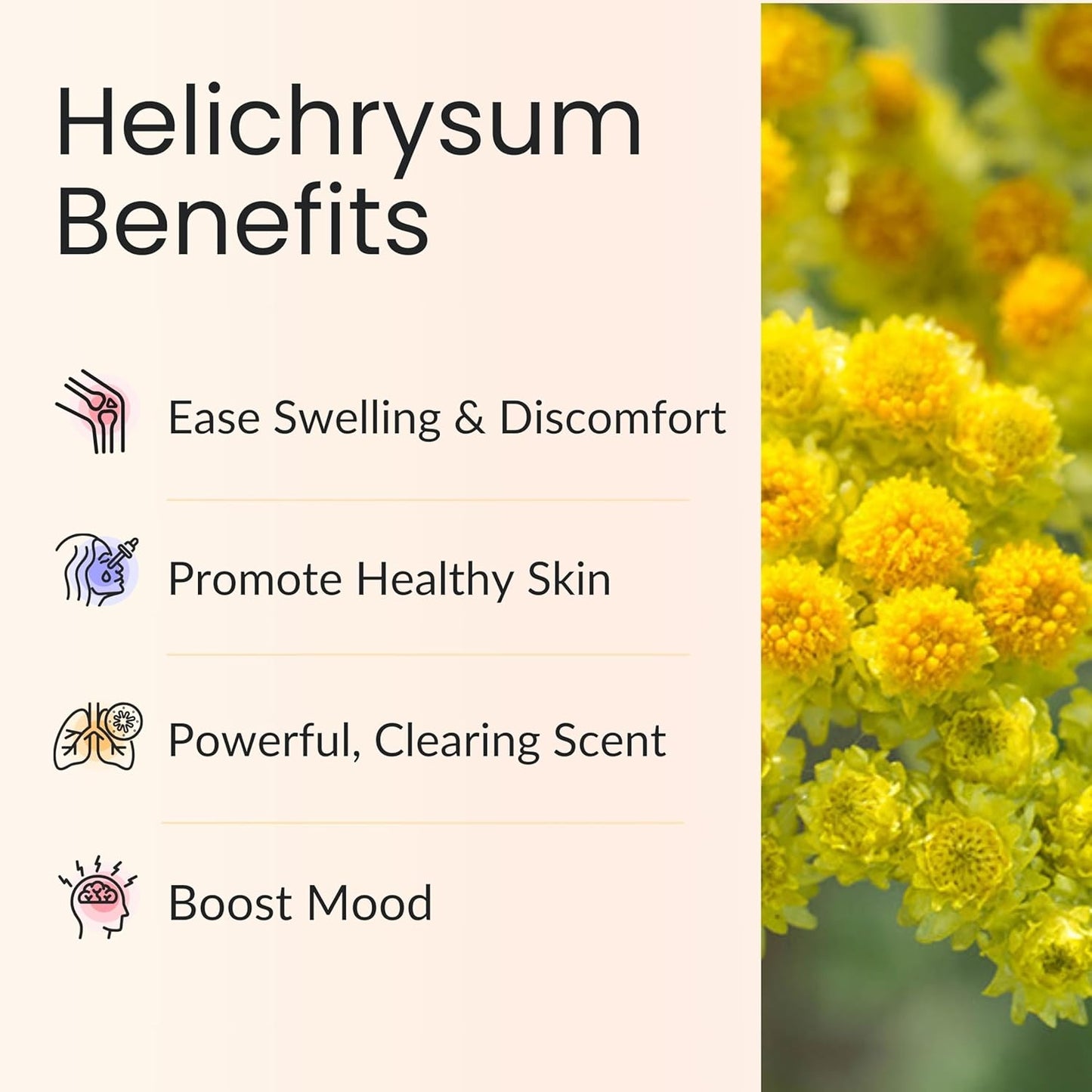 Vitality Extracts Helichrysum Essential Oil - 10ml, Helichrysum Gymnocephalum, Aromatherapy, Skin Care, Happy, Stress Relief, Aches Relief