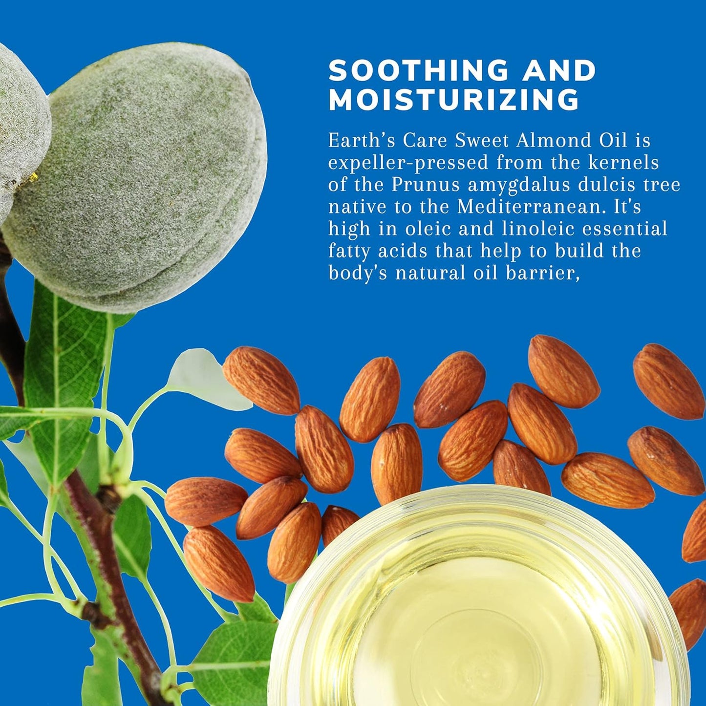 Earth’s Care Sweet Almond Oil - Expeller Pressed Almond Oil for Skin and Hair, Glass Bottle, Unscented, 8 FL. OZ.