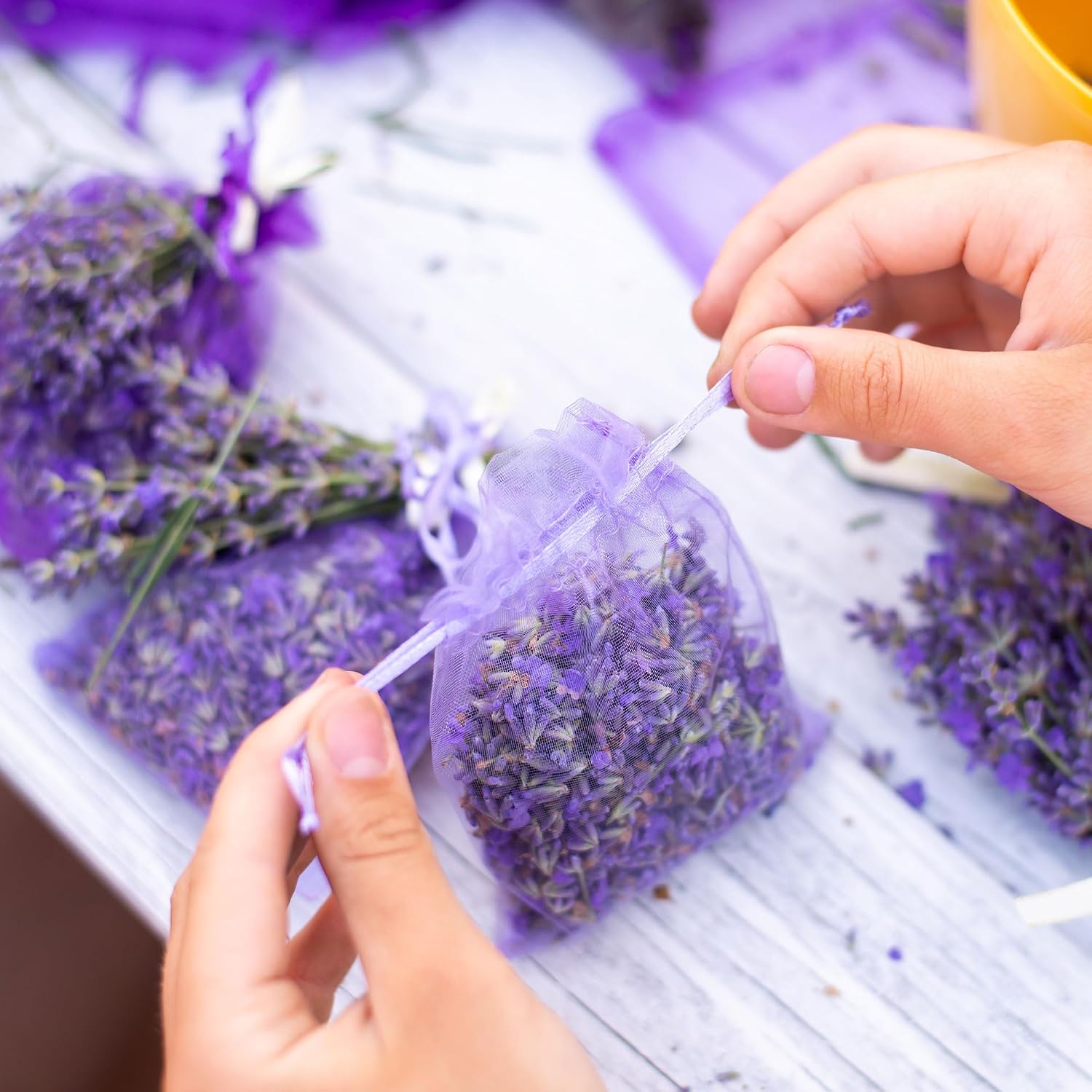 OLILLY - Premium Lavender Sachets from Provence France – 12 Natural Dried Lavender Bags – Luxury Linen & Closet Freshener – Long Lasting Lavender Fragrance – Elegant Organza Sachets