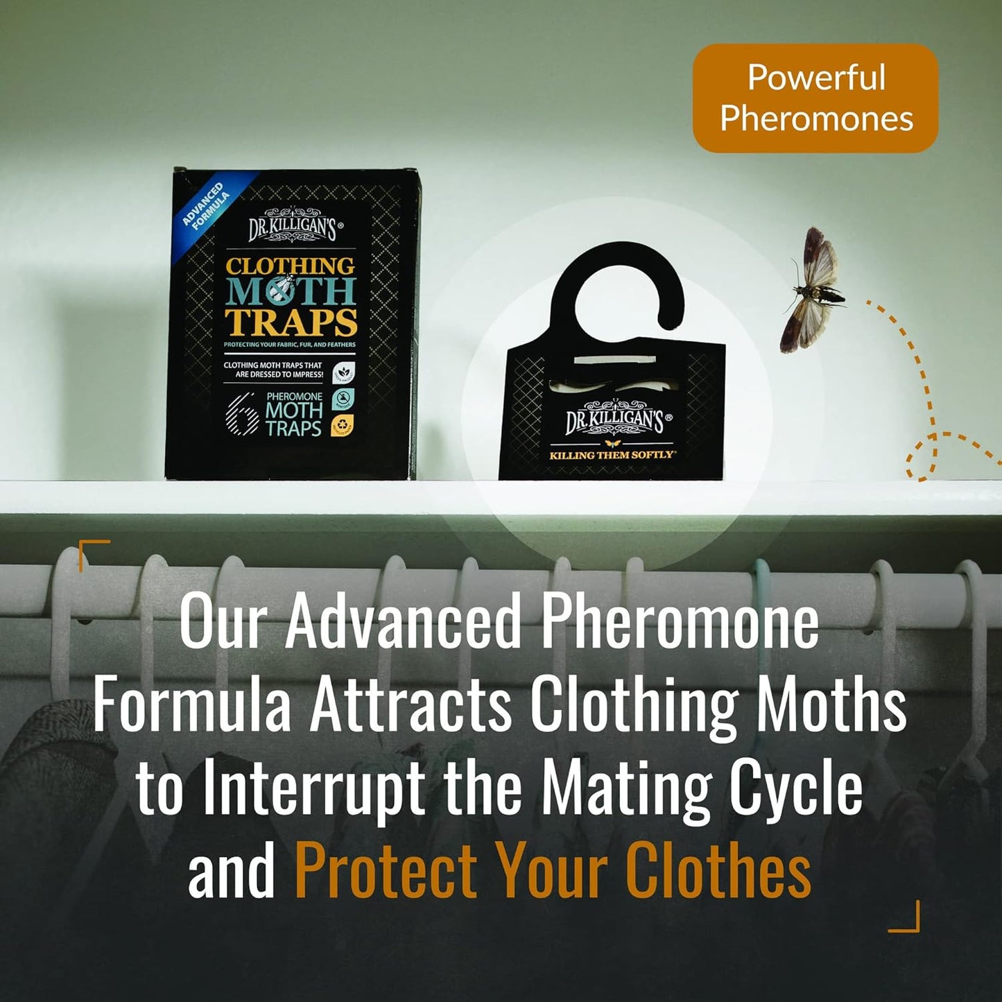 Dr. Killigan's Premium Clothing Moth Traps with Pheromones Prime | Non-Toxic Clothes Moth Trap with Lure for Closets & Carpet | Moth Treatment & Prevention | Case Making & Web Spinning (Black, 6 pack)
