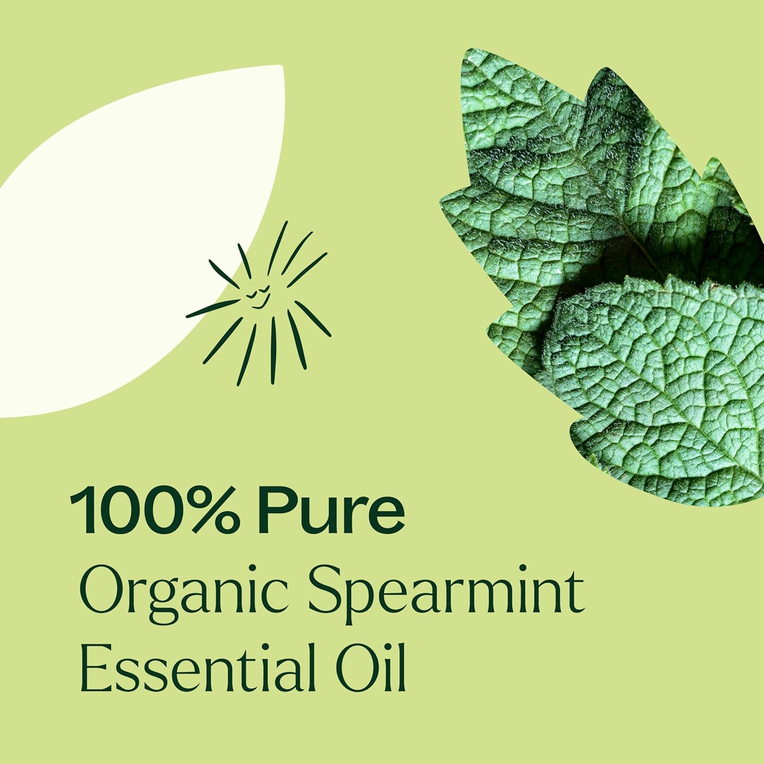 Plant Therapy USDA Certified Organic Spearmint Essential Oil 30 mL (1 oz) 100% Pure, Undiluted, Digestive Health, Fresh Scent