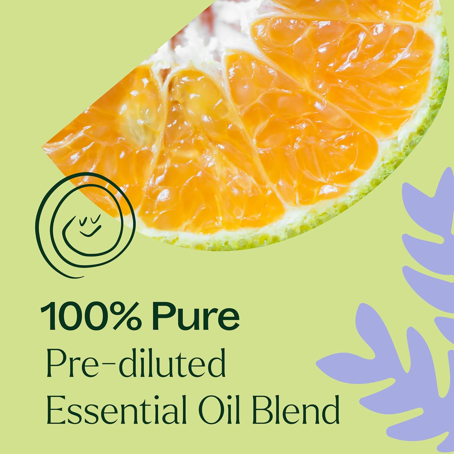 Plant Therapy Sleep Tight Essential Oil Blend 10 mL (1/3 oz) Pre-Diluted Roll-On 100% Pure, Natural Aromatherapy for Deep and Relaxation