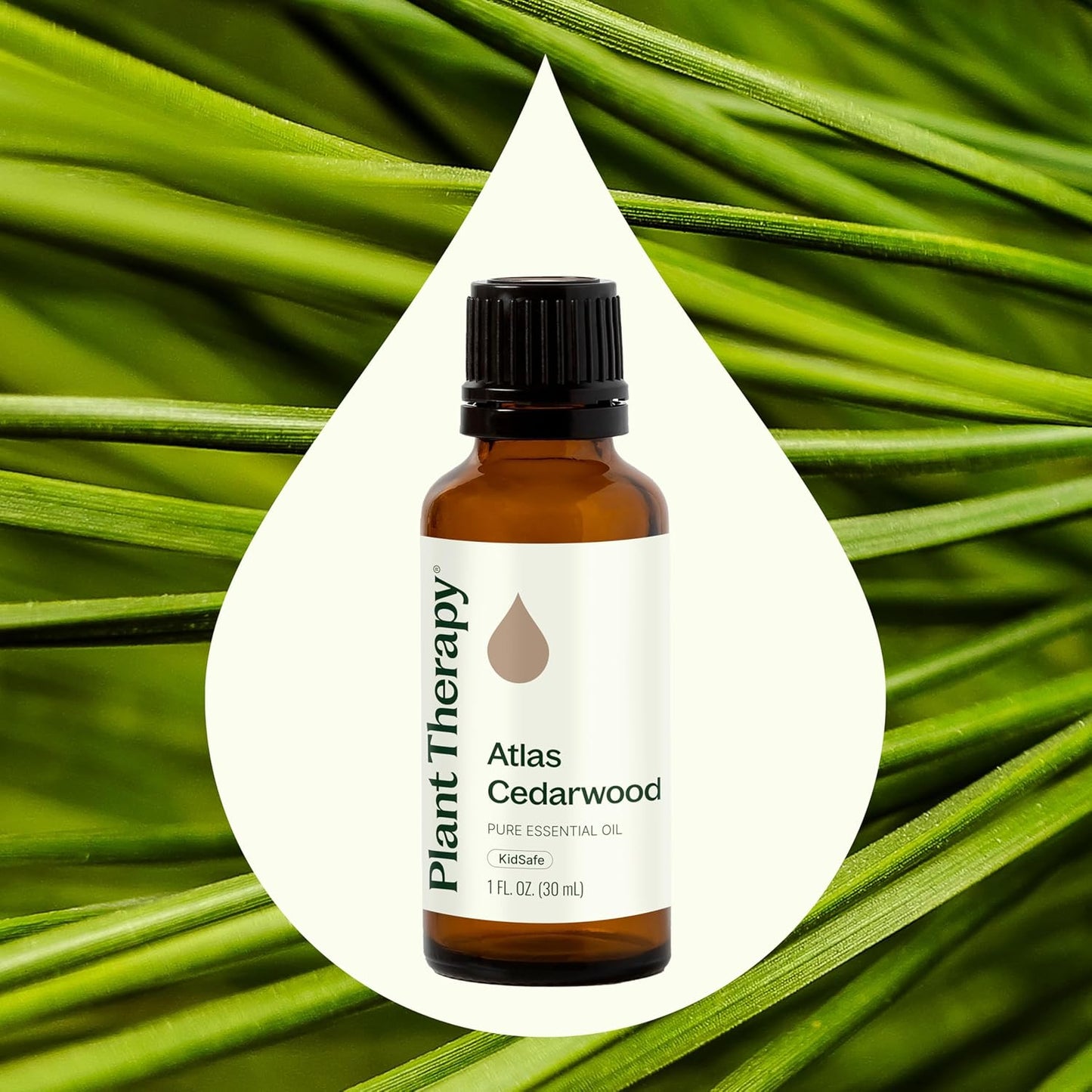 Plant Therapy Atlas Cedarwood Essential Oil 30 mL (1 oz) 100% Pure, Undiluted, Therapeutic Grade