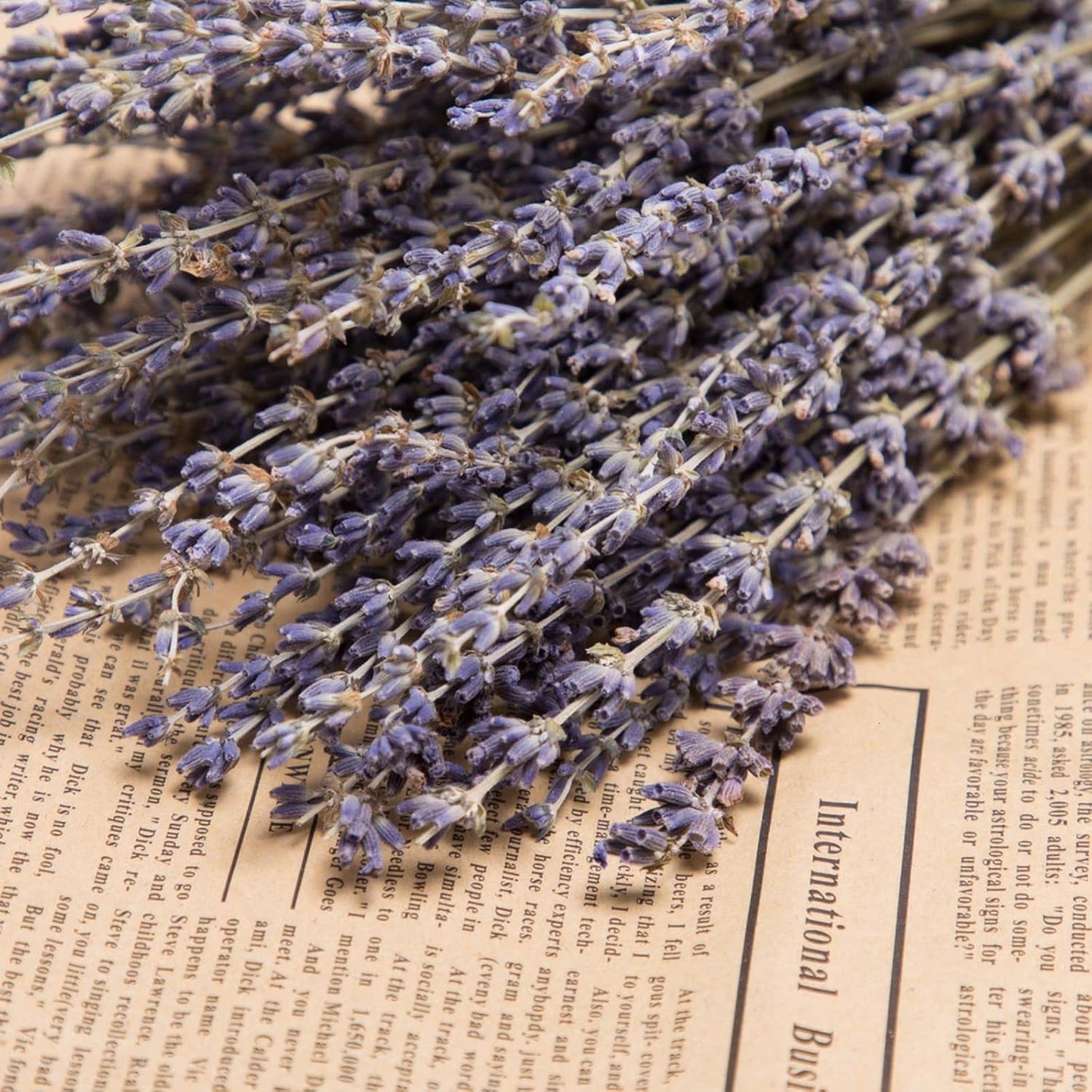 Timoo Dried Lavender Bundles 100 Natural Dried Lavender Flowers for Home Decoration, Photo Props, Home Fragrance, 2 Bundles Pack