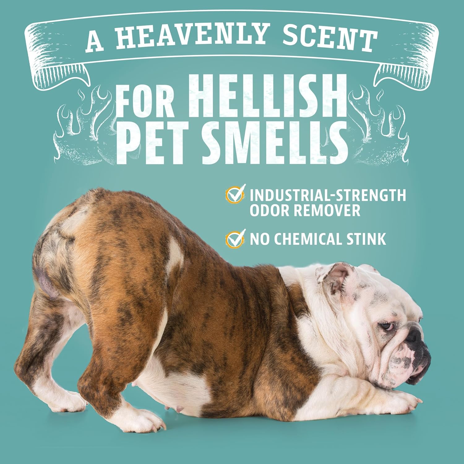 ANGRY ORANGE Pet Odor Eliminator for Dog and Cat Urine, Carpet Stains, and Strong Smells – NEW Orange Rush Scent – Citrus Cleaner with Natural Orange Oil – 24 oz