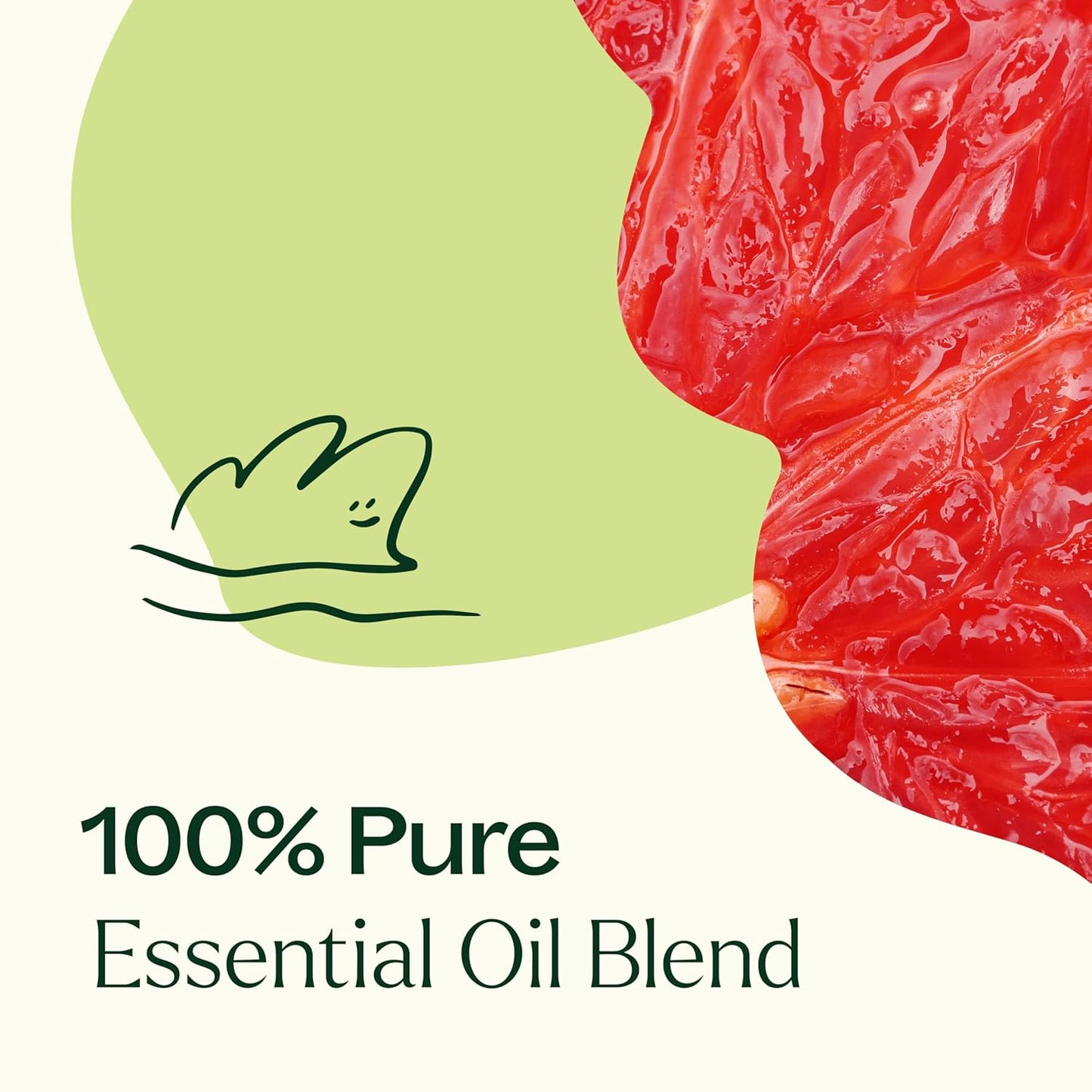 Plant Therapy Brain Aid Essential Oil Blend 10 mL (1/3 oz), 100% Pure & Undiluted, Aromatherapy for Focus, Concentration & Mental Clarity