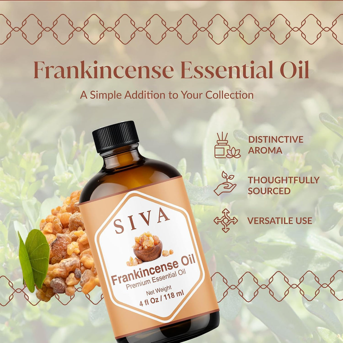 Siva Frankincense Essential Oil with Dropper