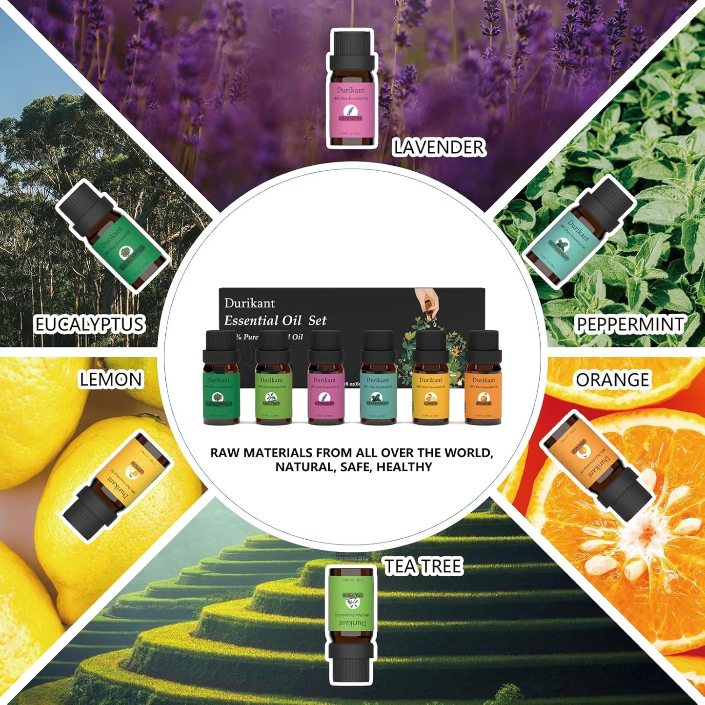 Essential Oil Set - 100% Pure Natural, 6-Pack (Tea Tree, Eucalyptus, Lavender, Orange, Peppermint, Lemon Oils) - 0.33 Fl Oz Each