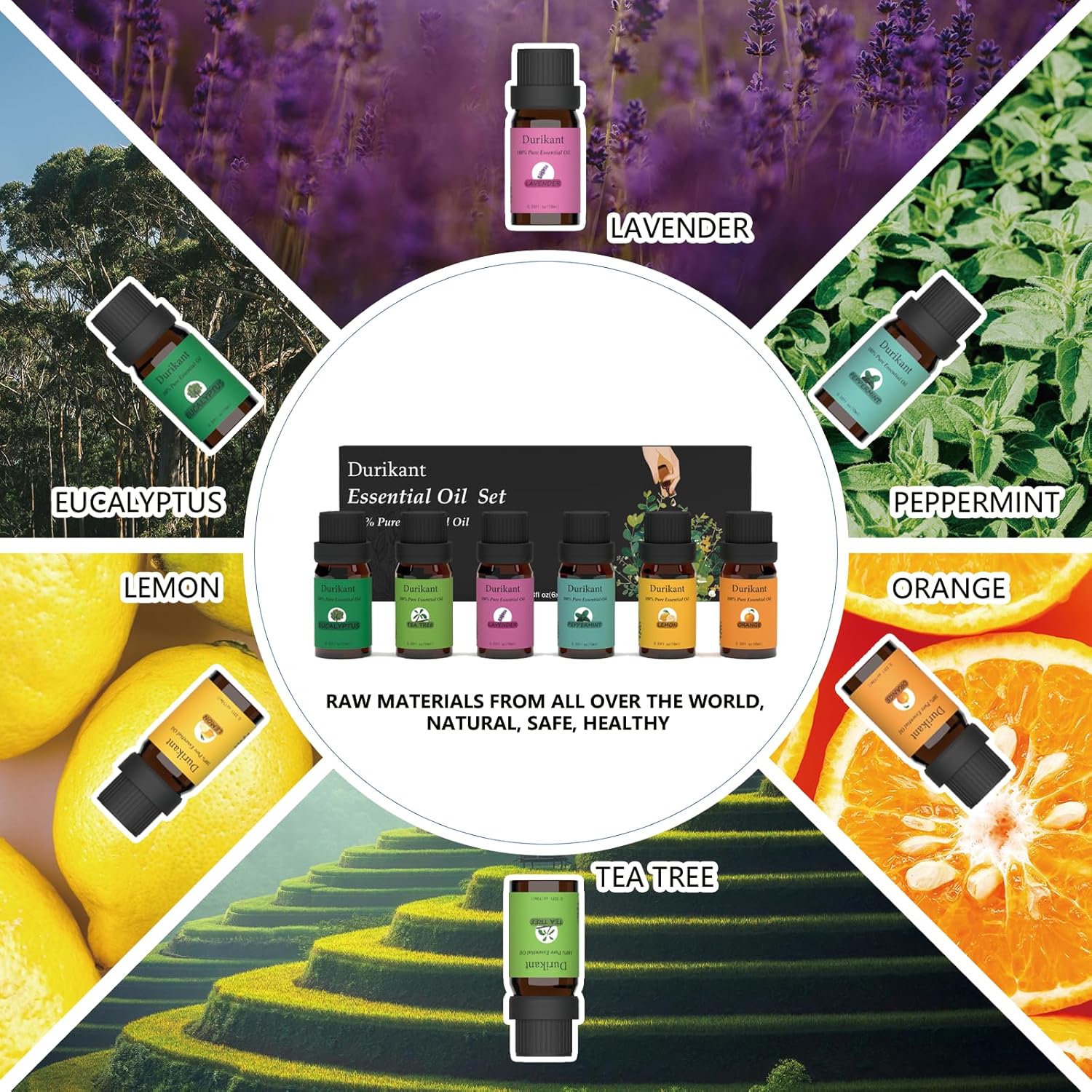 Essential Oil Set - 100% Pure Natural, 6-Pack (Tea Tree, Eucalyptus, Lavender, Orange, Peppermint, Lemon Oils) - 0.33 Fl Oz Each