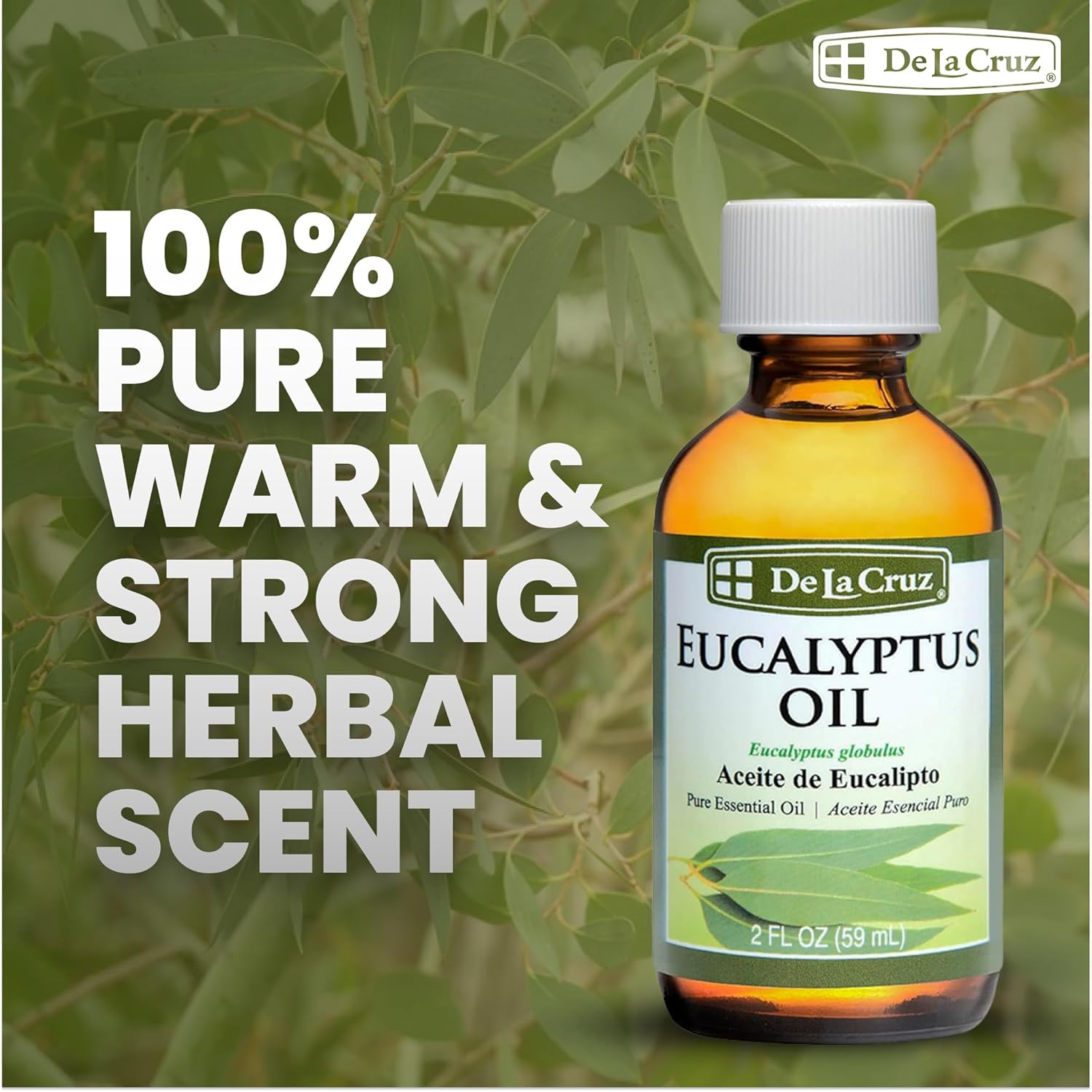 Eucalyptus Essential Oil Aromatherapy for Diffuser or Humidifier 100% Pure Steam Distilled Eucalyptus Globulus 2 FL OZ (6 Bottles)