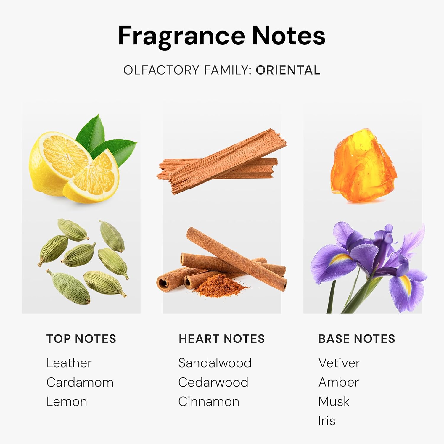 My Way Diffuser Oil Inspired by The 1 Miami Beach Scent, Scent Diffuser Oil with Notes of Cardamom, Leather, Lemon & Iris, Aromatherapy Fragrance, Essential Oil Blend | 120ml, 4.05 fl oz