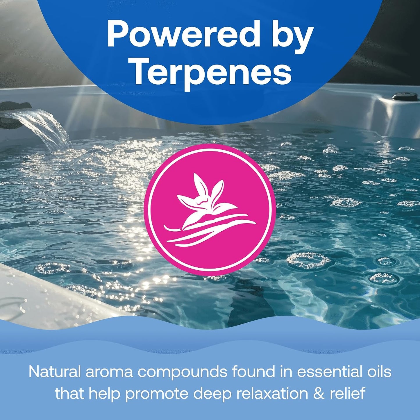 HTH Spa 86001 Wellness Aromatherapy Muscle & Joint Relief for Spas & Hot Tubs, 1lb