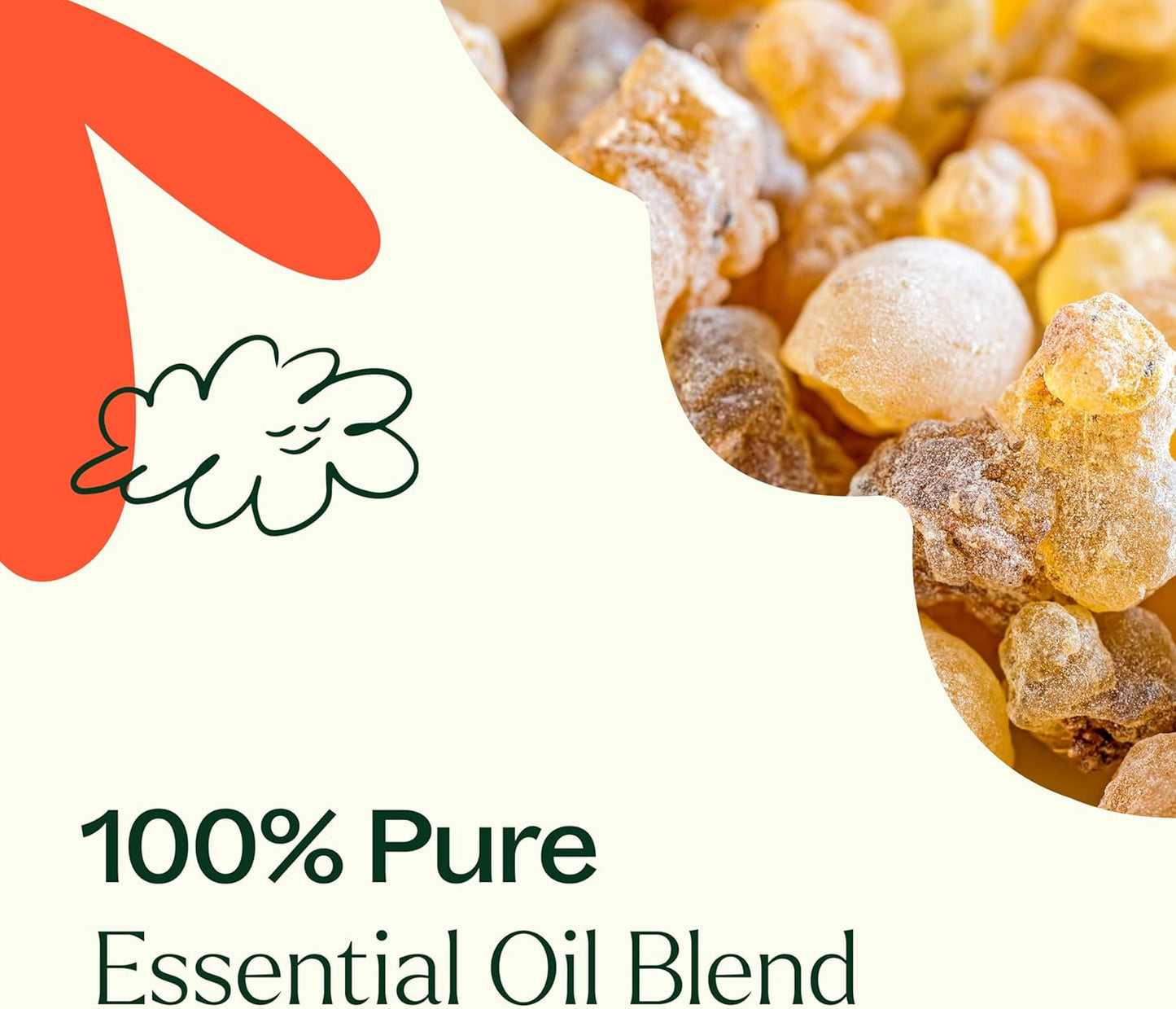 Plant Therapy Fantastic Franks Essential Oil Blend, 10 mL (1/3 oz), Made with 100% Pure Essential Oils, Contains Frankinense Carterii, Frereana, Papyrifera, and Sacra