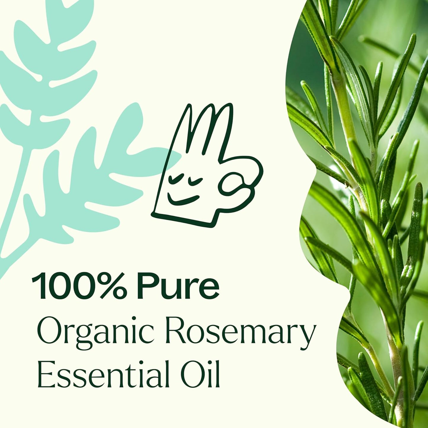 Plant Therapy Organic Rosemary Essential Oil, 30 mL (1 oz), 100% Pure and Undiluted, USDA Certified Organic, Great for Aromatherapy and Natural Hair Growth