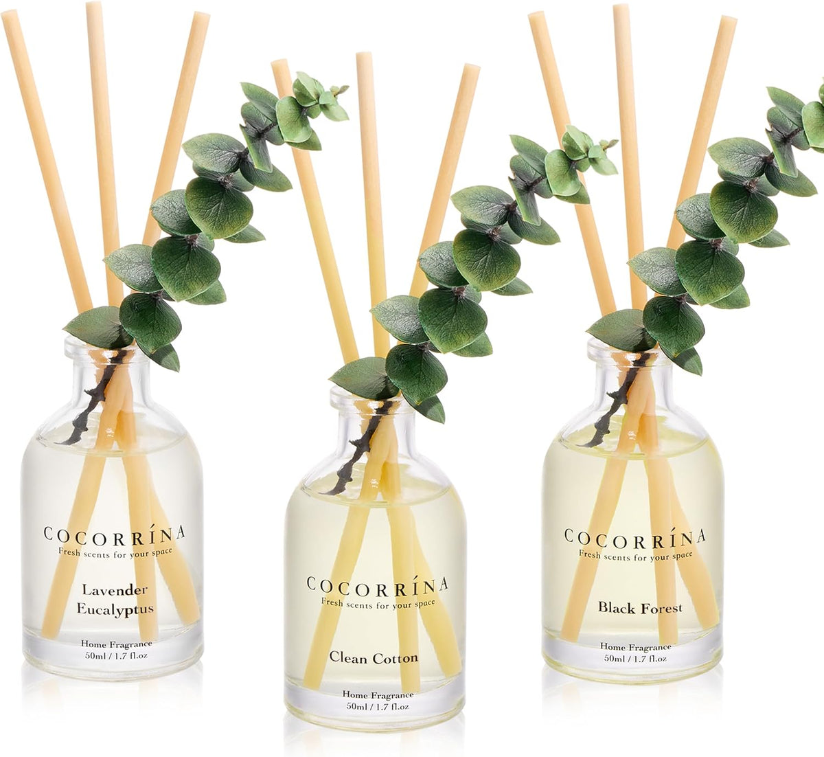 COCORRÍNA Reed Diffuser Set of 3 with Dried Eucalyptus for Home & Office