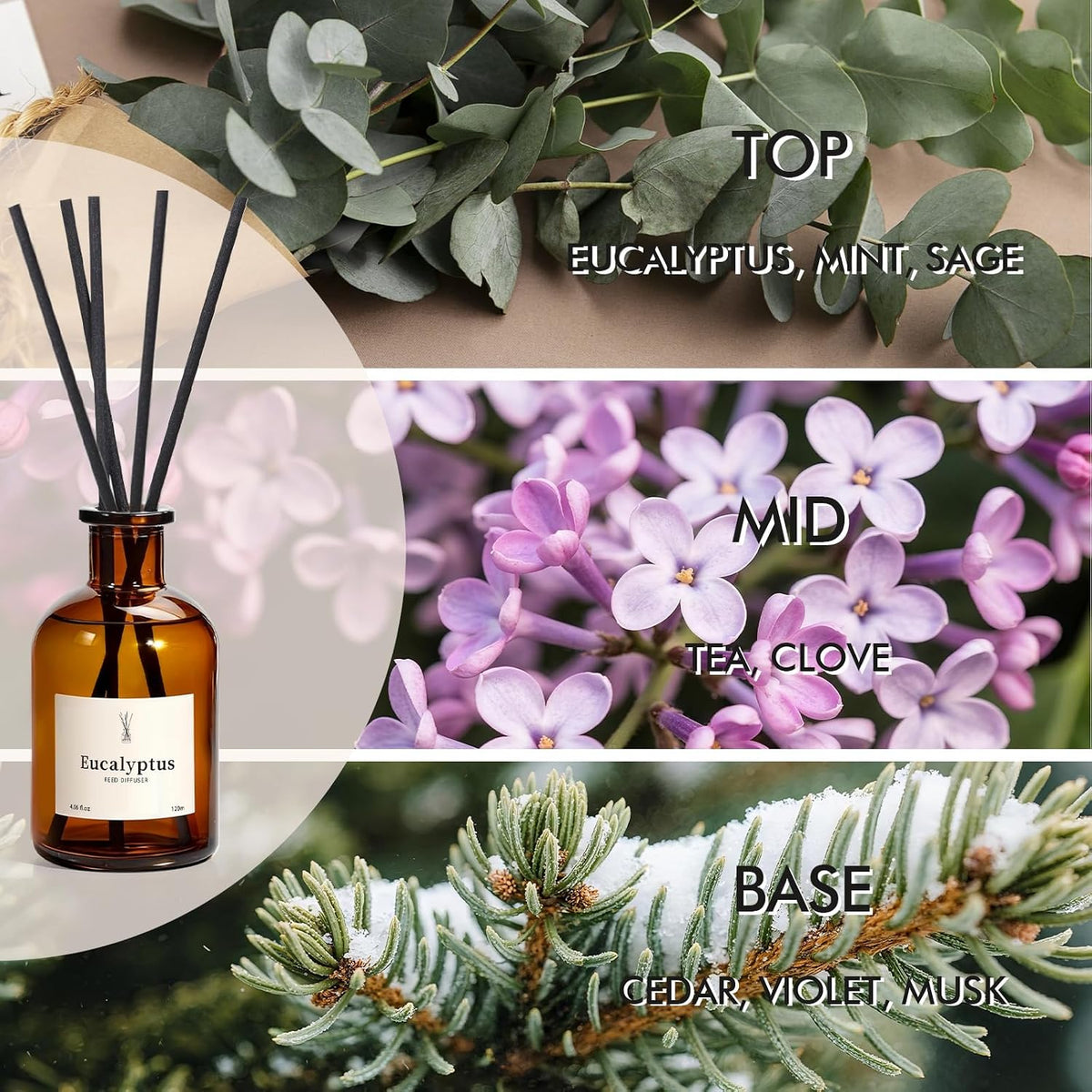 Reed Diffuser Set