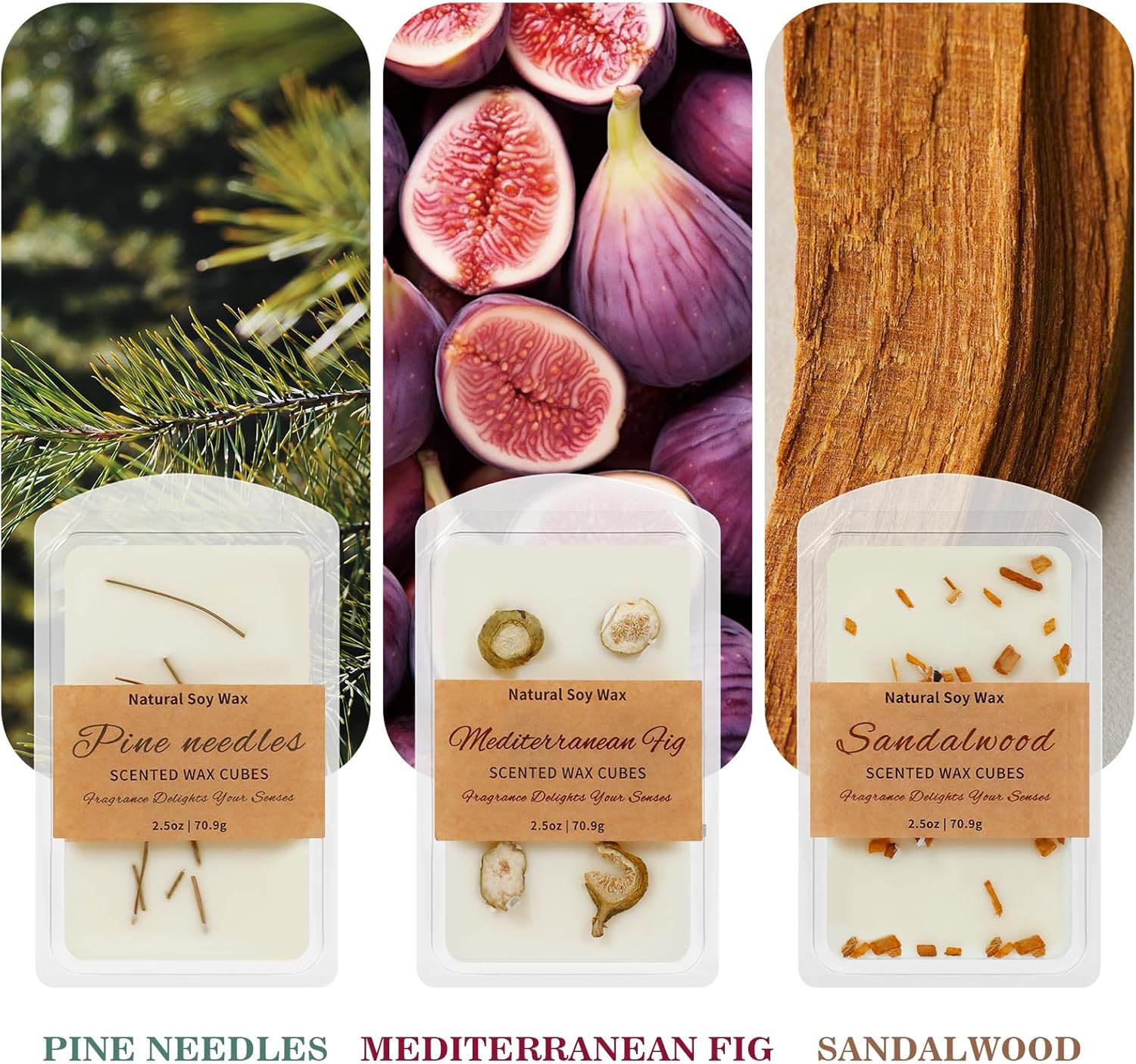 SCENTORINI Wax Melts, Premium Wax with Essential Oil, Summer Scents, Scented Wax Cubes, Natural Dried Flower, Pine Needles, Sandalwood, Mediterranean Fig, 2.5 oz X 3 Pack