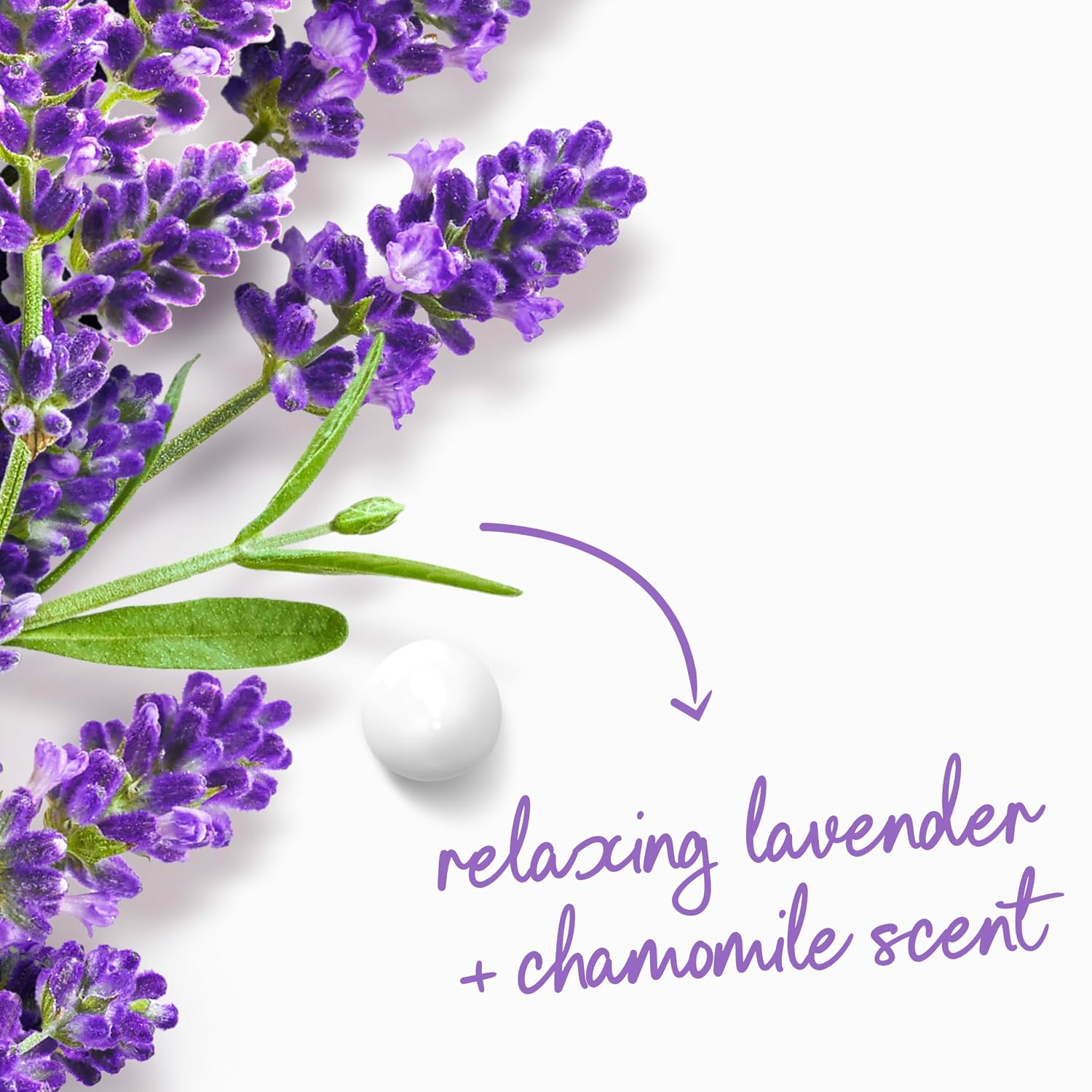 Dove 24hr Lotion Body Wash Relax Lavender Oil & Chamomile, 30.6 oz | Hydrating body wash with MicroMoisture and a calming lavender and chamomile scent