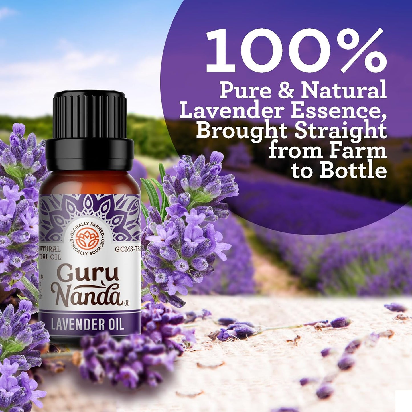 GuruNanda Lavender Essential Oil - 100% Pure, Natural and Undiluted Oil for Massage & DIY Recipes- Premium Diffuser Oil for Aromatherapy (Pack of 1-0.5 Fl Oz)