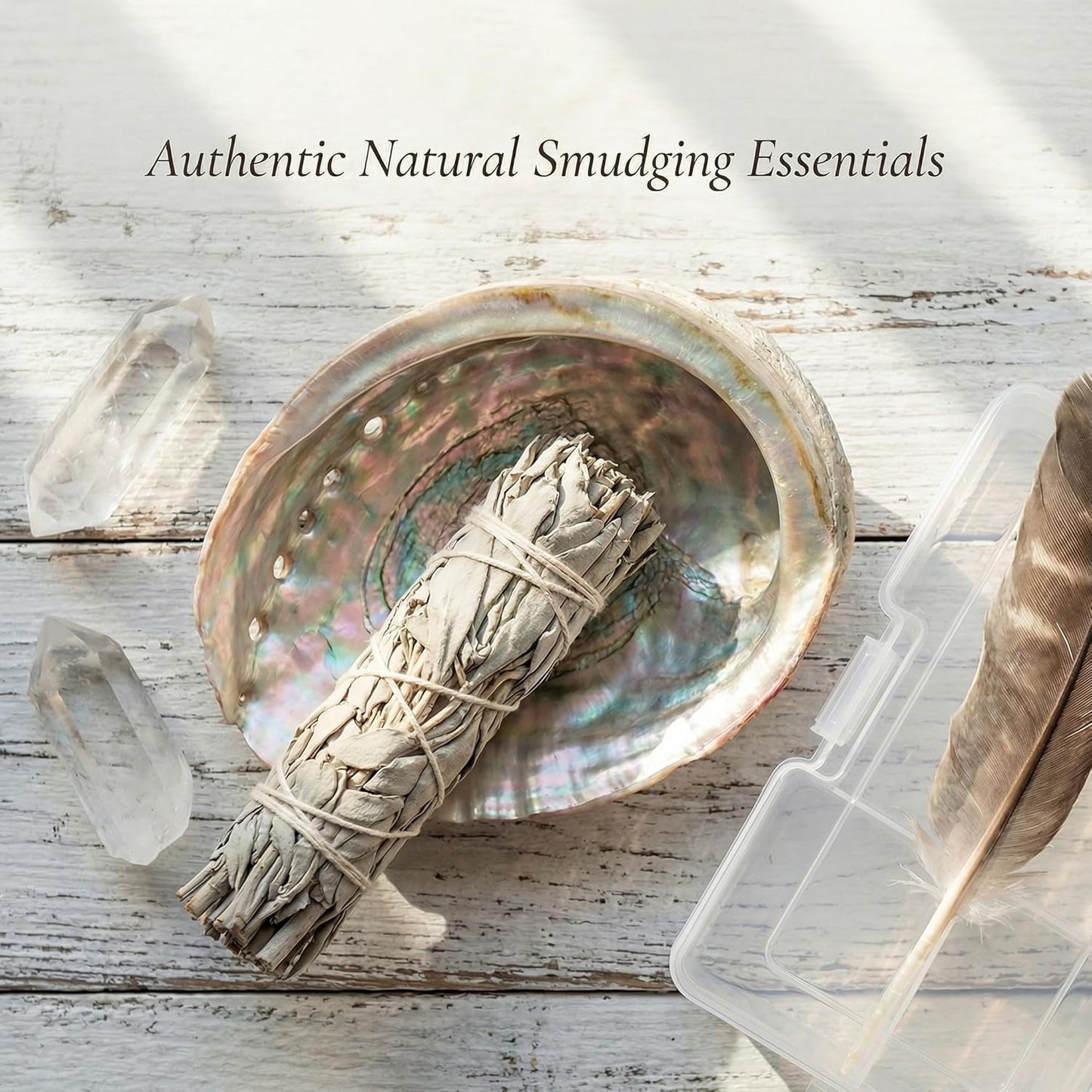 BRBASAP Large Abalone Shell Bowl with a Clear Box 4.7-5.12 Inch Natural Smudge Bowl for Sage Burning and Incense Sea Shell Smudging Bowl for Decor and Display
