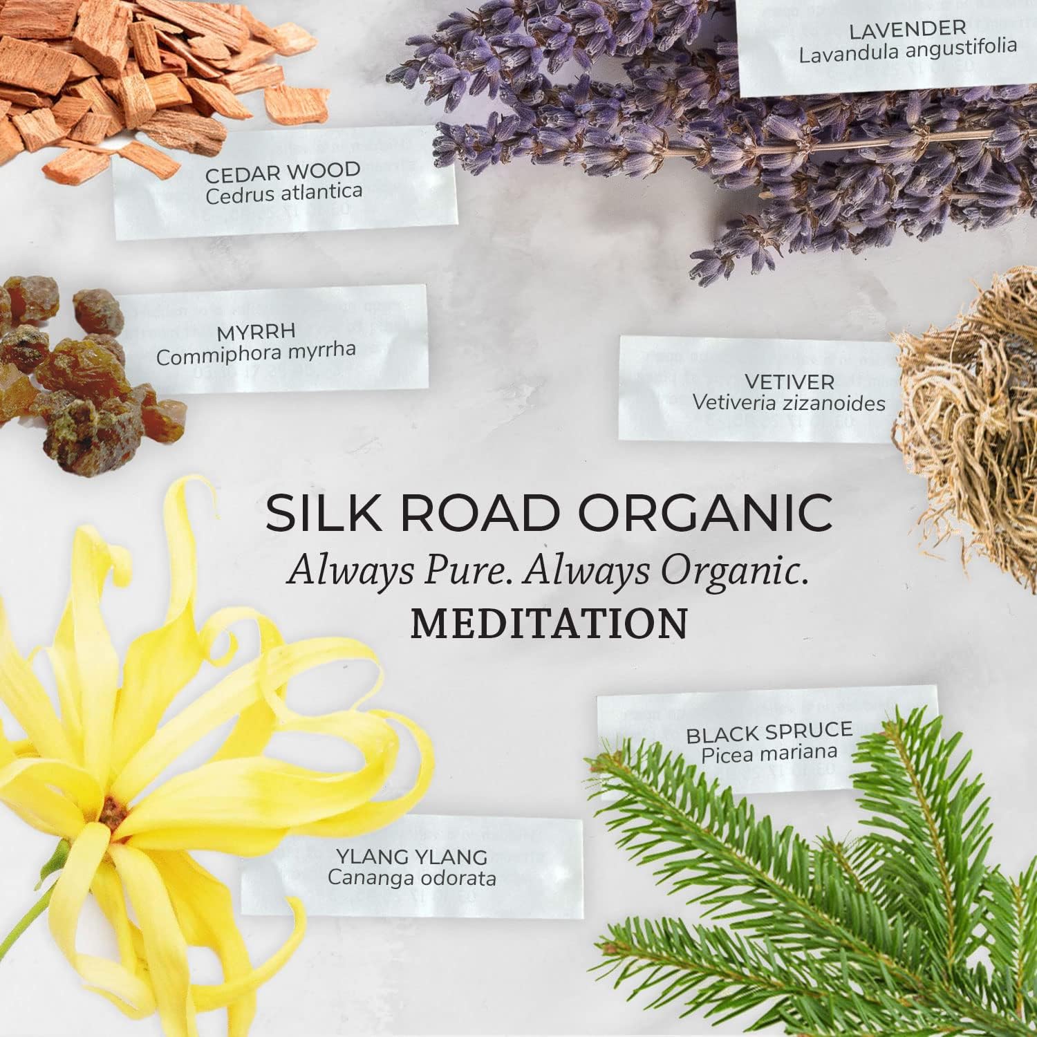 Silk Road Organic Meditation Essential Oil Balancing Blend Roll On,100% Pure USDA Certified Aromatherapy for Chakra Healing, Focus, Calming, Mindfulness & Spiritual Well-Being - 10ml Roller