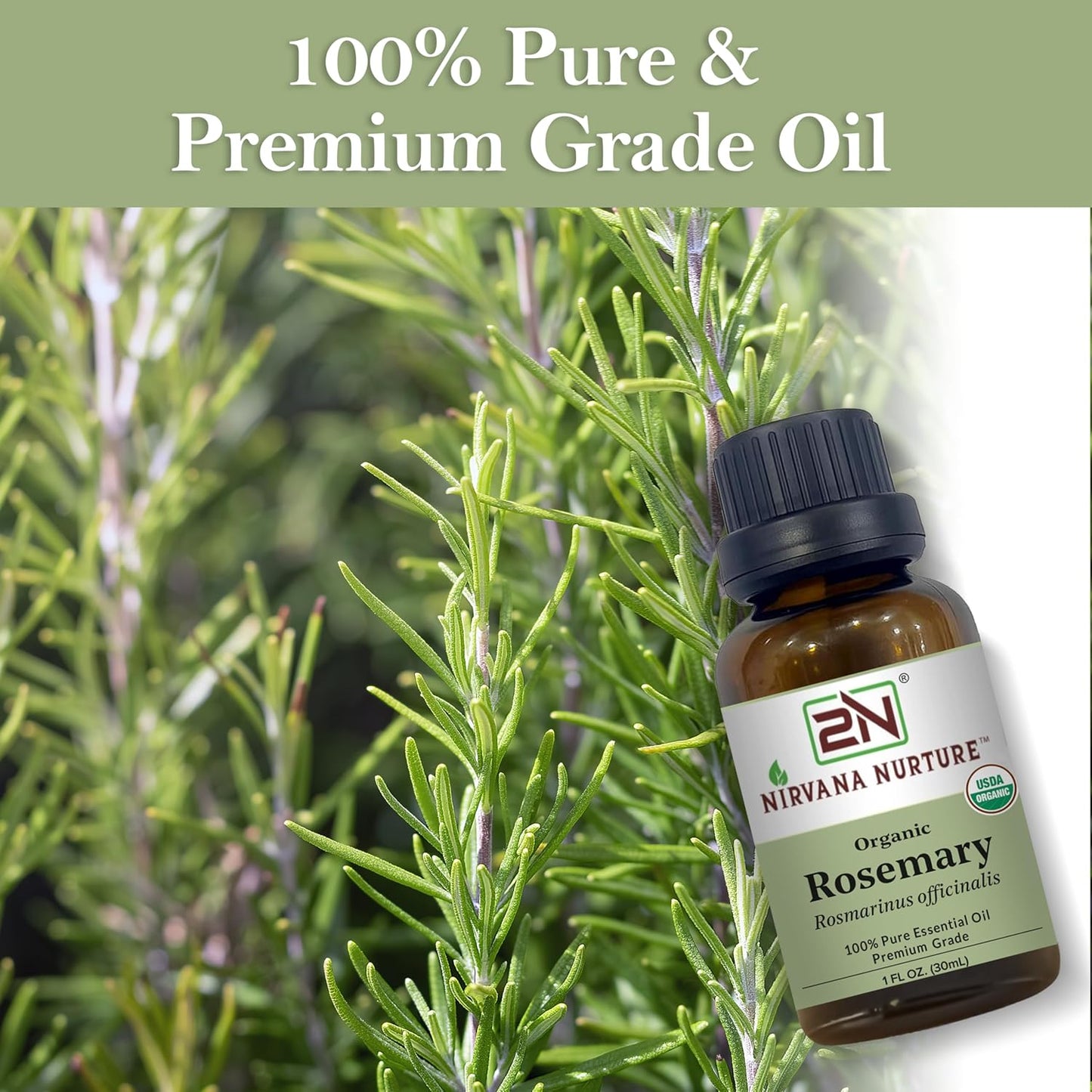 Rosemary Essential Oil, USDA Certified Organic, 100% Pure Undiluted, Aromatherapy Oil for Diffuser, Hair & Skin Care