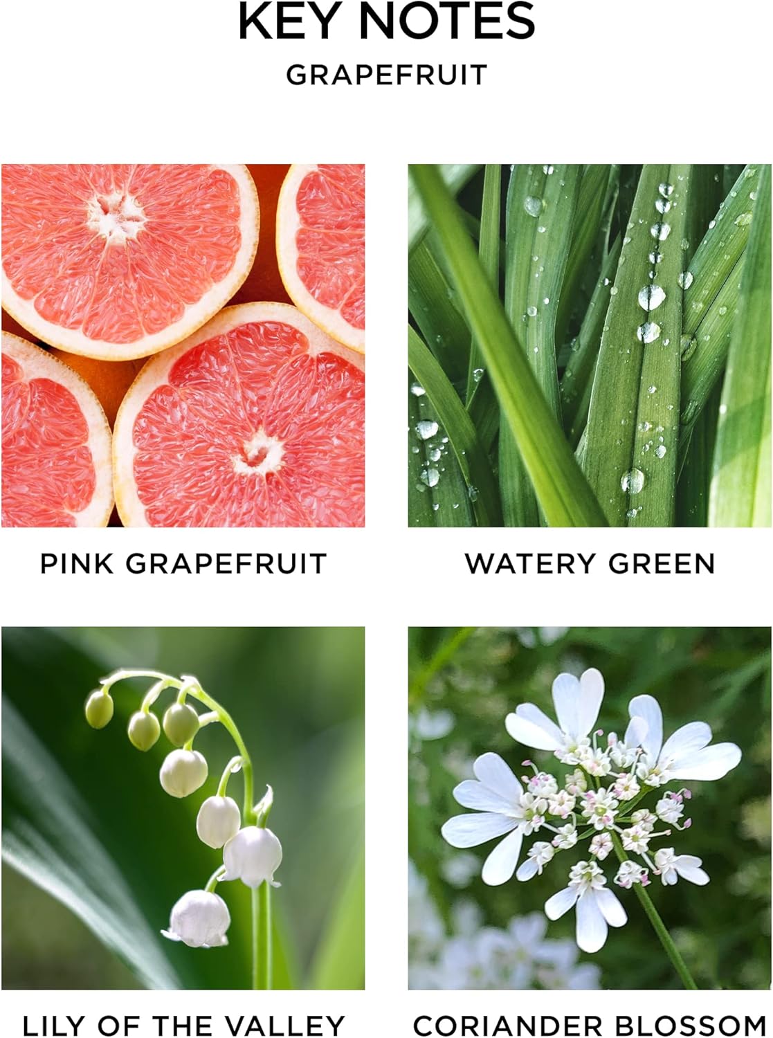 NEST New York Wall Diffuser Refill Vials, Grapefruit - Set of 2 - Up to 60 Days of Continuous Scent - Cruelty Free, Vegan - Made in USA