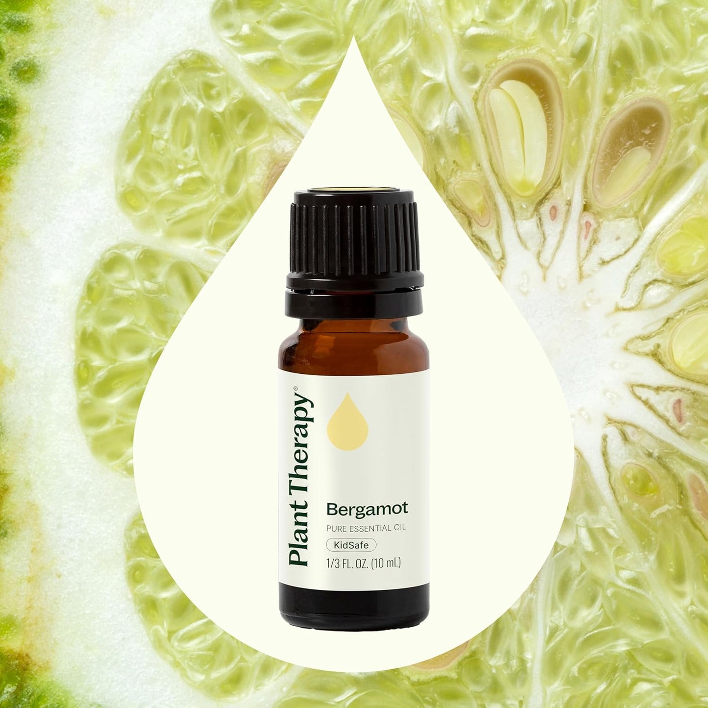 Plant Therapy Bergamot Essential Oil 10 mL (1/3 oz), 100% Pure, Undiluted, Uplifting, Fresh Sent for Aromatherapy and Clear Skin