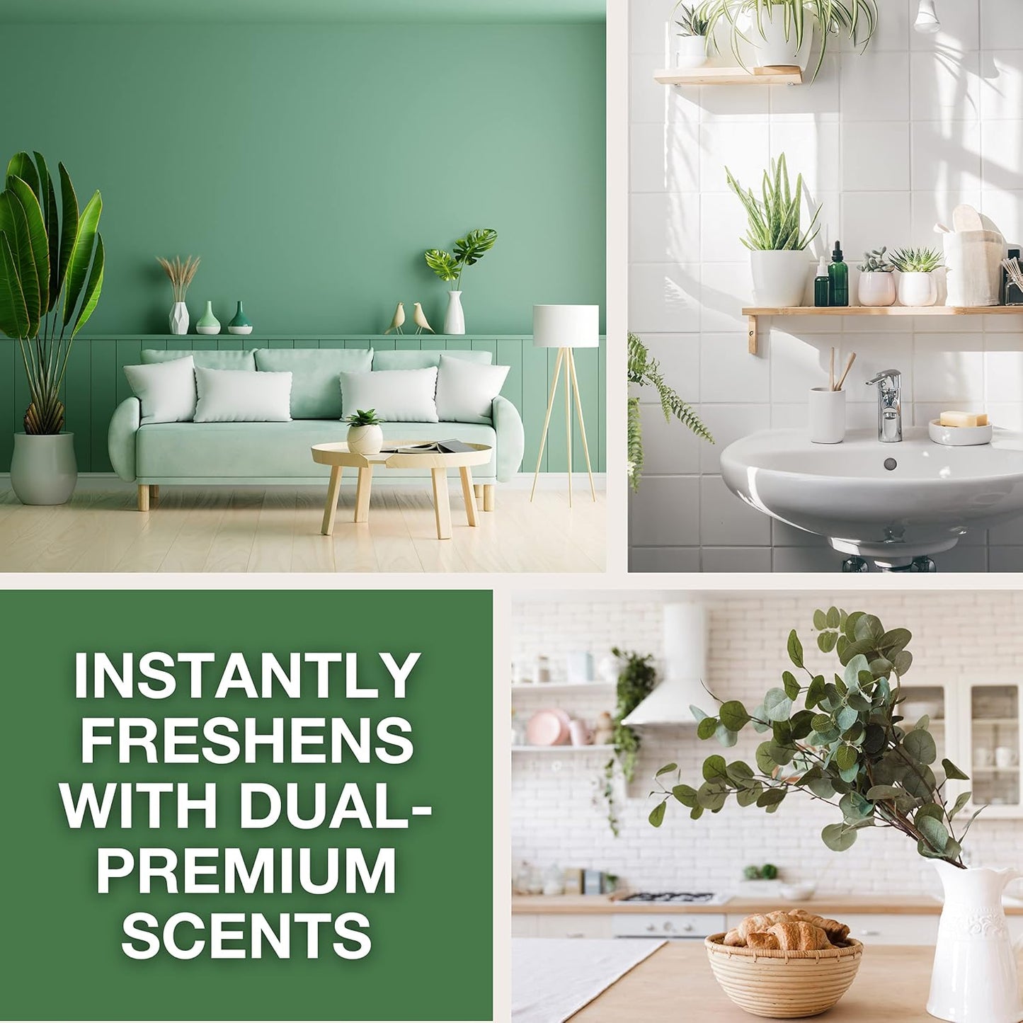 Citrus Magic Herbaceous Odor Eliminating Air Freshener Spray, Bergamot Eucalyptus, 8-Ounce, Pack of 2