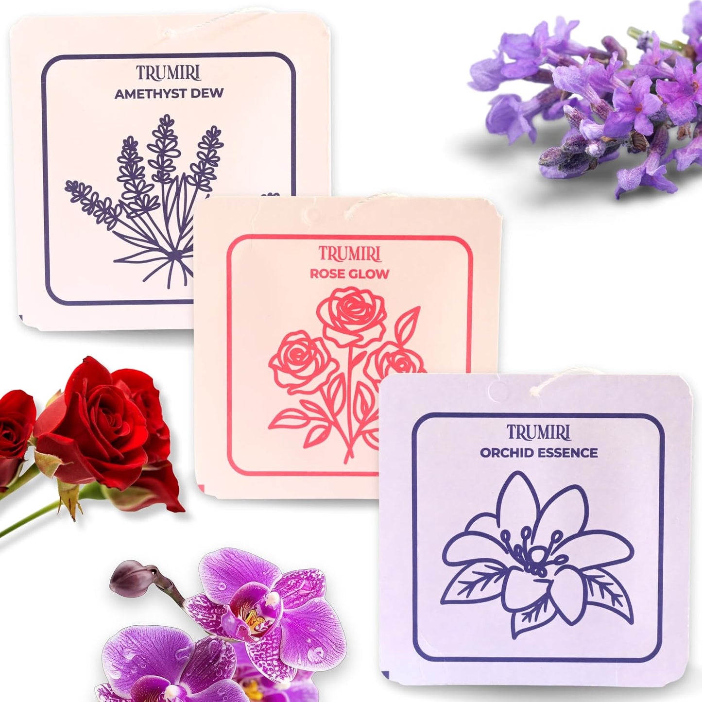 Scented Sachets for Drawer and Closet Freshener with Long Lasting Scent - Variety Pack of 3 - Amethyst Dew|Orchid Essence|Rose Glow - Home Fragrance Sachet - Olores para Closet De Ropa