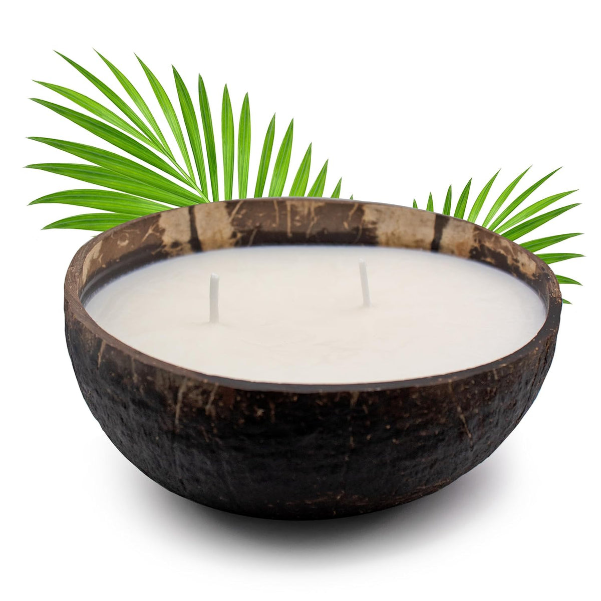 Generic Scented Soy Coconut Shell Candle - Coconut