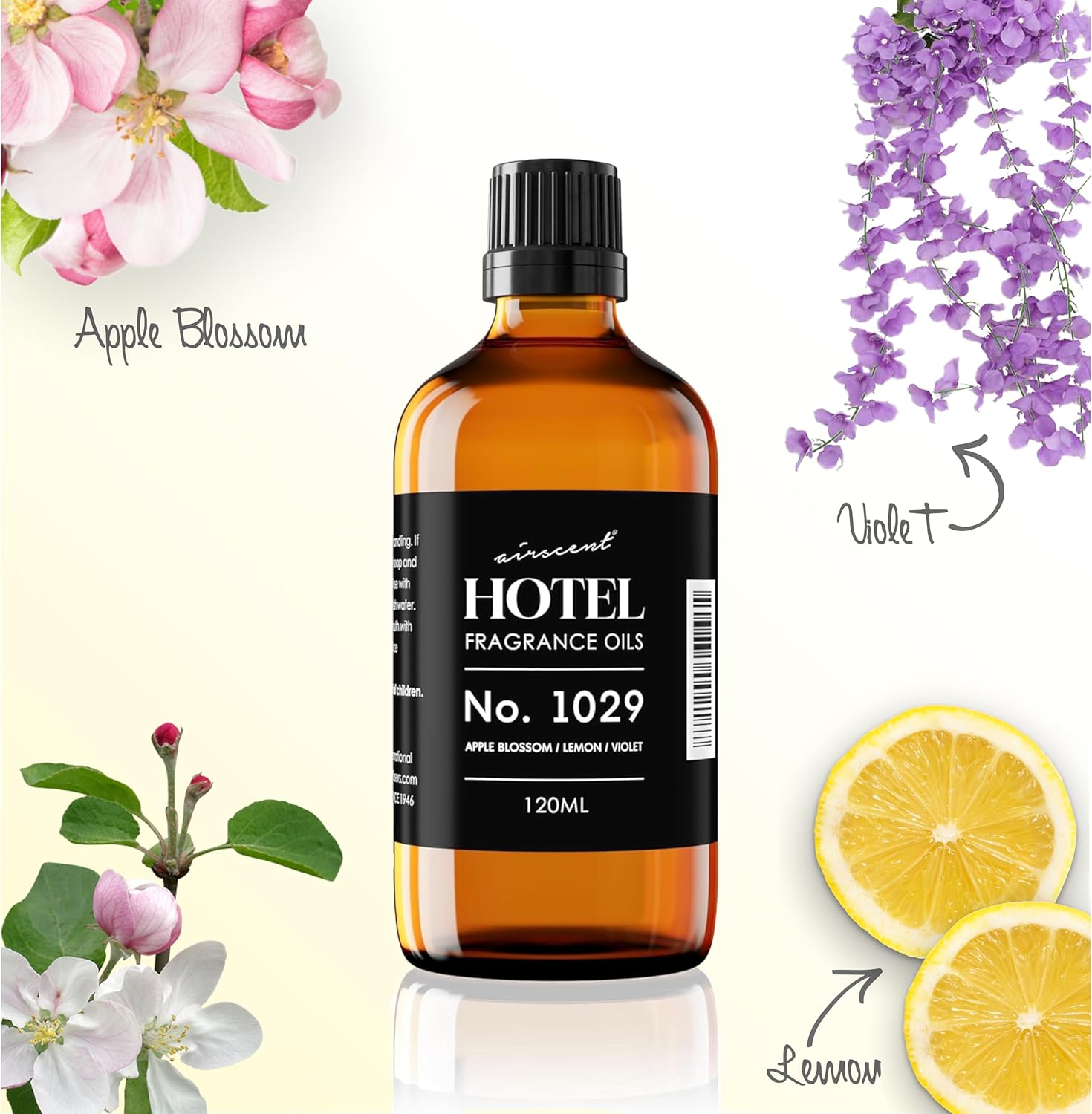 AirScent Hotel Diffuser Oil No. 1029 Inspired by The Floral Breeze Hotel Scent - Premium Fragrance Oil for Ultrasonic and Waterless Diffusers and Crafting - 30 mL, 1 fl oz Glass Bottle with Dropper