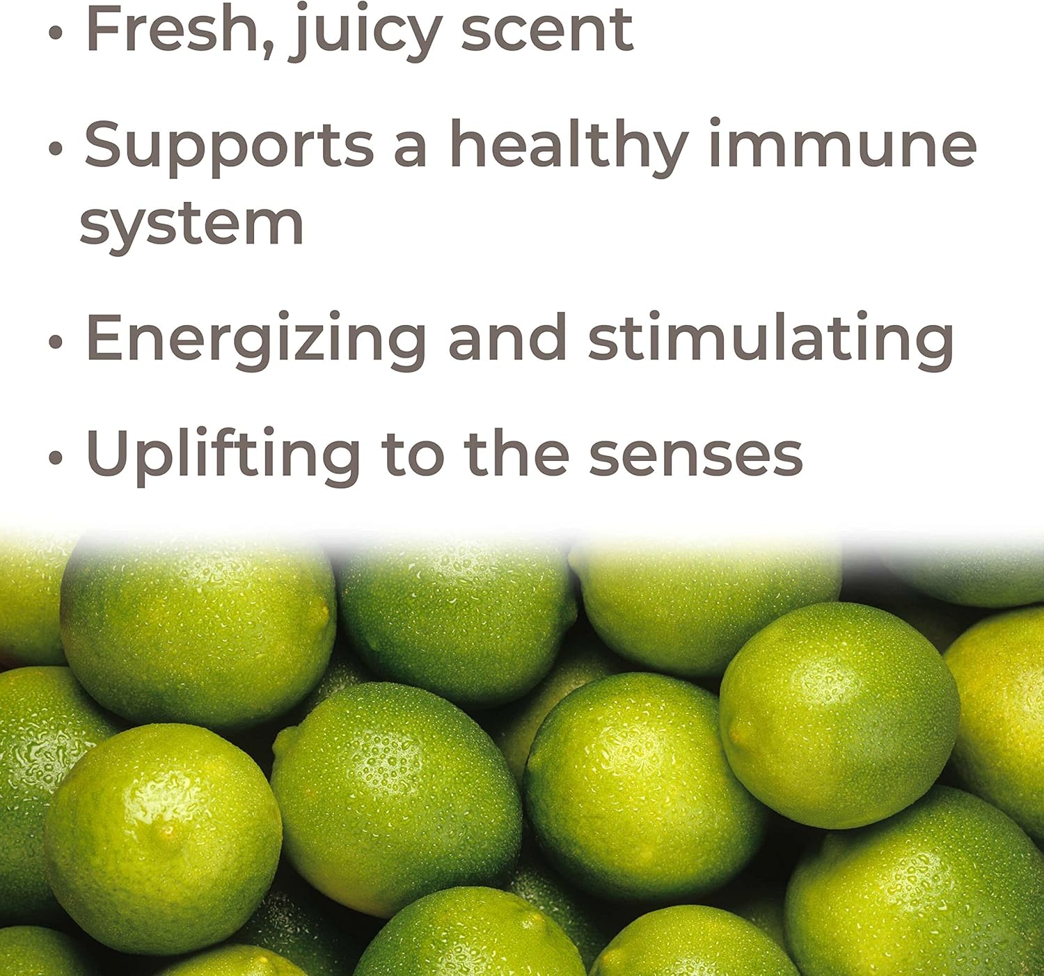 Plant Therapy Key Lime Essential Oil 10 mL (1 oz) 100% Pure, Undiluted, Natural Aromatherapy for Diffusion, is Uplifting and Energizing