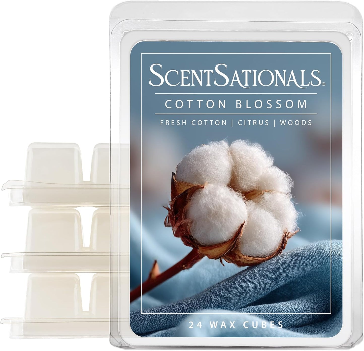 Scentsationals Cotton Blossom Scented Wax Melts - Fresh Cotton, Citrus, & Woods, 10oz (24 Cubes)