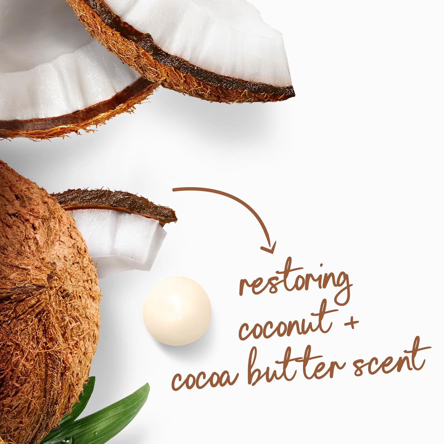 Dove 24hr Lotion Body Wash Restore Coconut & Cocoa Butter, 30.6 oz | Moisturizing body wash with MicroMoisture for 24-hour hydration and soft skin