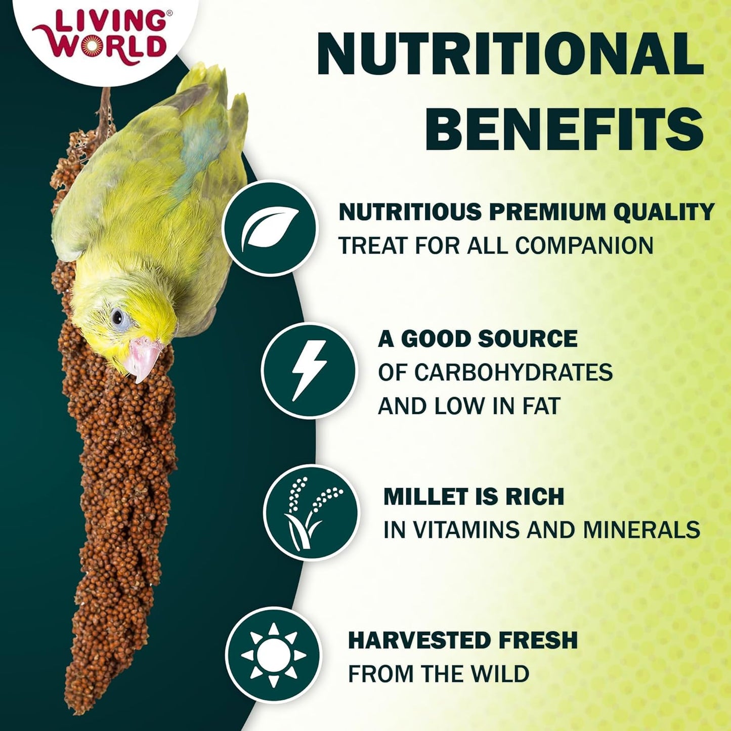 Living World – Millet Spray for Birds, 7 Oz – Premium Treat for Budgies, Canaries, Finches, Cockatiels and Other Pet Birds