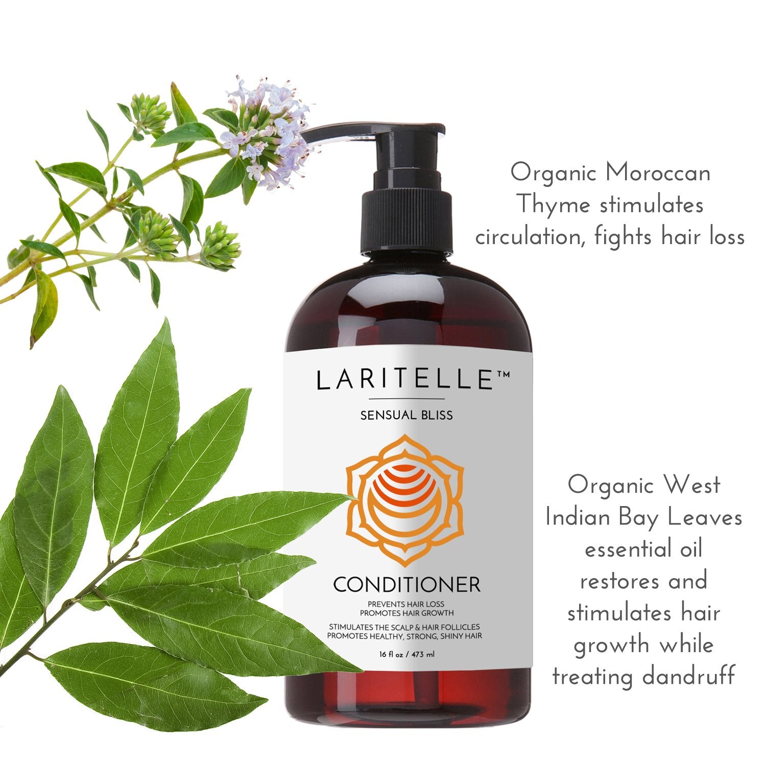 Laritelle Organic Conditioner Sensual Bliss 16 oz | Argan Oil, Babassu, Apricot Kernel & Keratin | Deep Hydration, Anti-Thinning, Sulfate-Free, Vegan