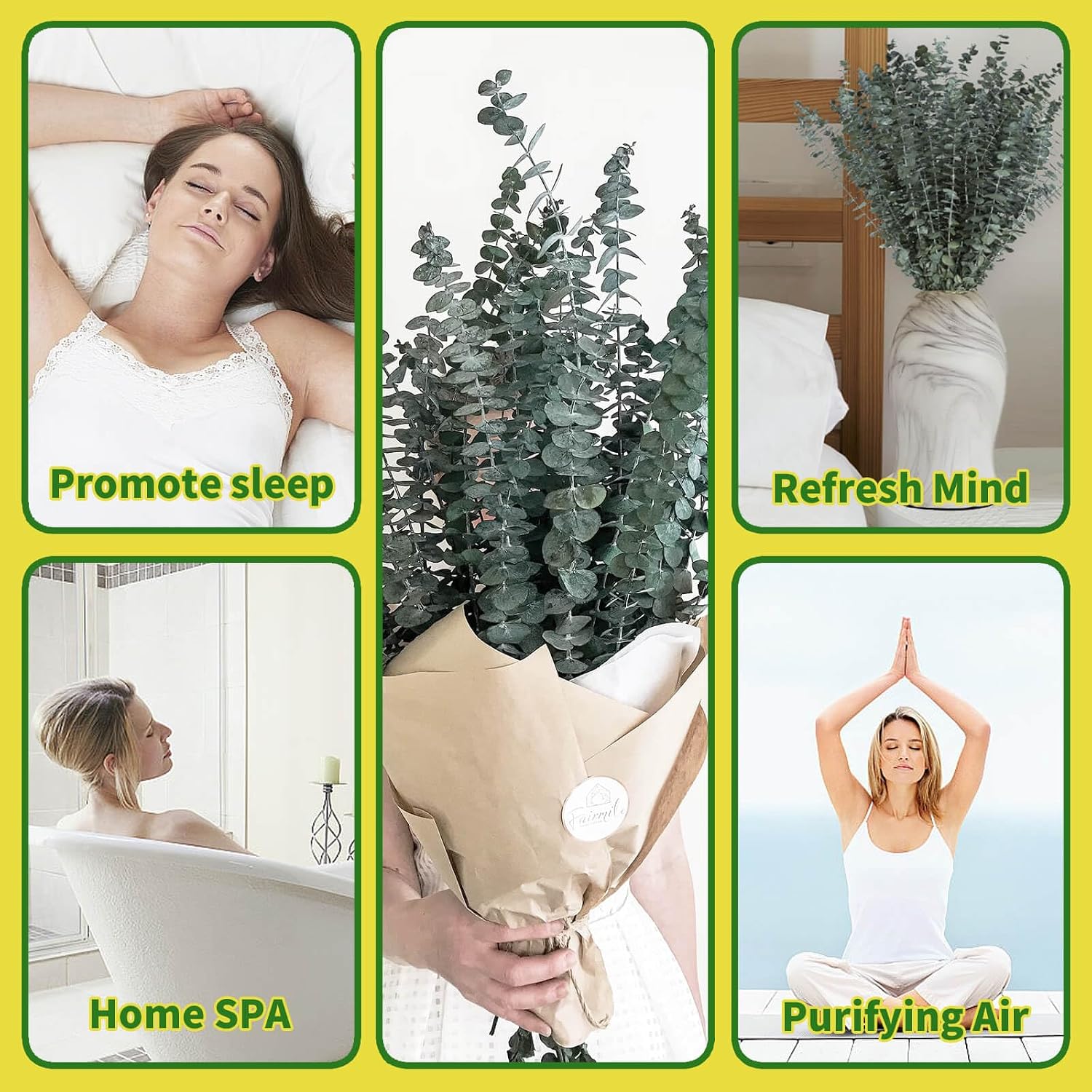 41 PCS Dried Preserved Eucalyptus Bundle for Shower-17'' Real Large Dried Eucalyptus Stems Shower Plants for Shower Hanging, Fresh Eucalyptus Leaves, Fragrance, Bathroom Vase Decor