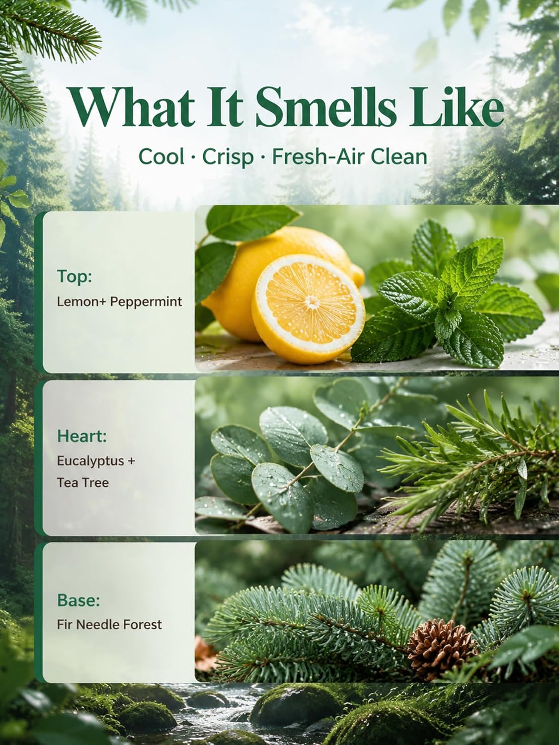 Breathe & Refresh — A 100% Pure Essential Oil Blend Cool-Crisp Blend that Makes Any Space Feel Like Fresh Air Again, Essential Oils for Diffusers for Home