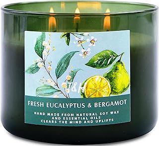 Eucalyptus Bergamot 3 Wick Candle for Home Scented | 15.8 oz Large Soy Candle | Spa Aromatherapy Candles for Home Stress Relief Relaxation | Clean Burn | Gift for Women & Men Housewarming