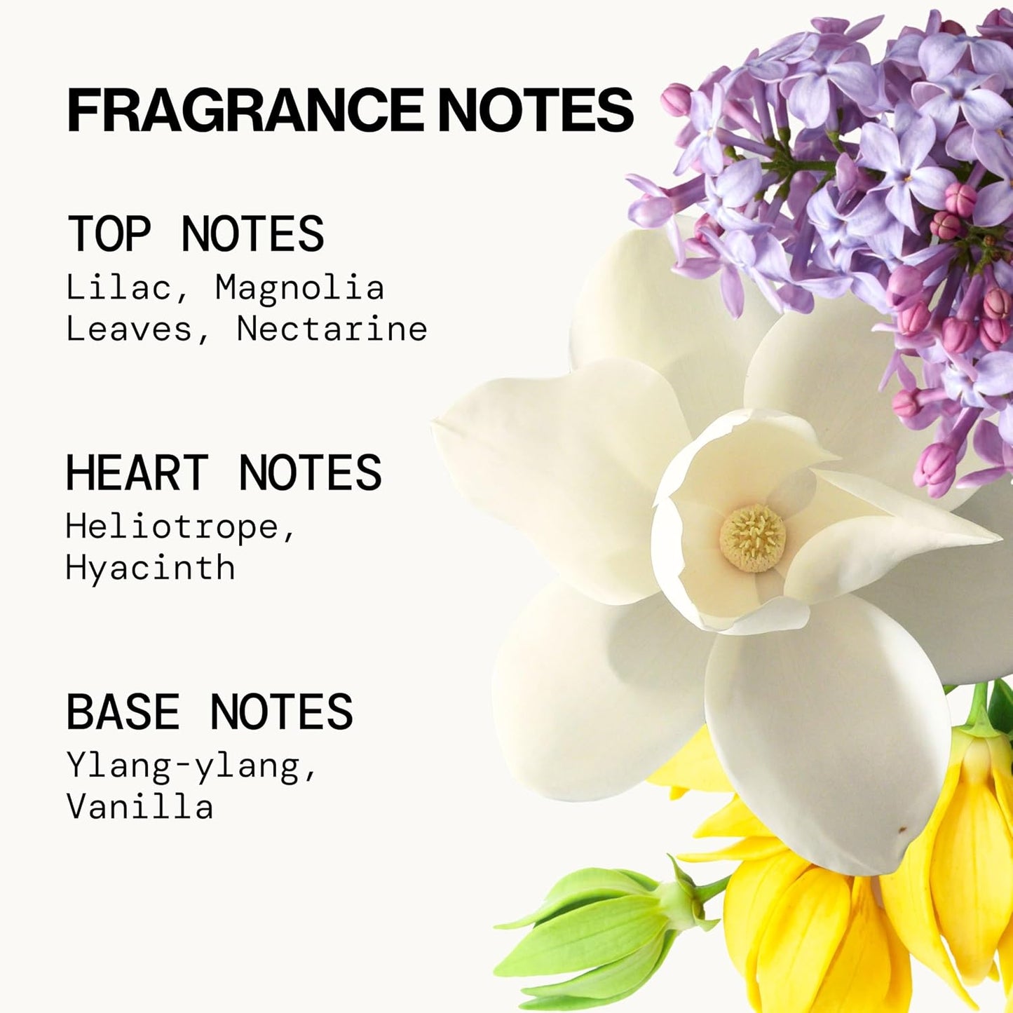 Pacifica French Lilac Hair & Body Mist – Clean Vegan Floral Hair Perfume Spray for Women, Fresh-Cut Lilac, Magnolia & Heliotrope Notes, Alcohol-Free Head-to-Toe Fragrance, Cruelty-Free, 6 Fl Oz