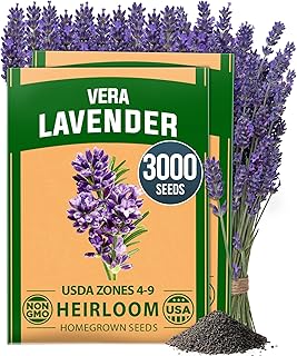 HOME GROWN Non GMO English Lavender Seeds 3,000+ Wildflower Seed for Planting Indoor/Outdoor, High Germination, Plant Flower Seeds (Lavandula antustifolia)