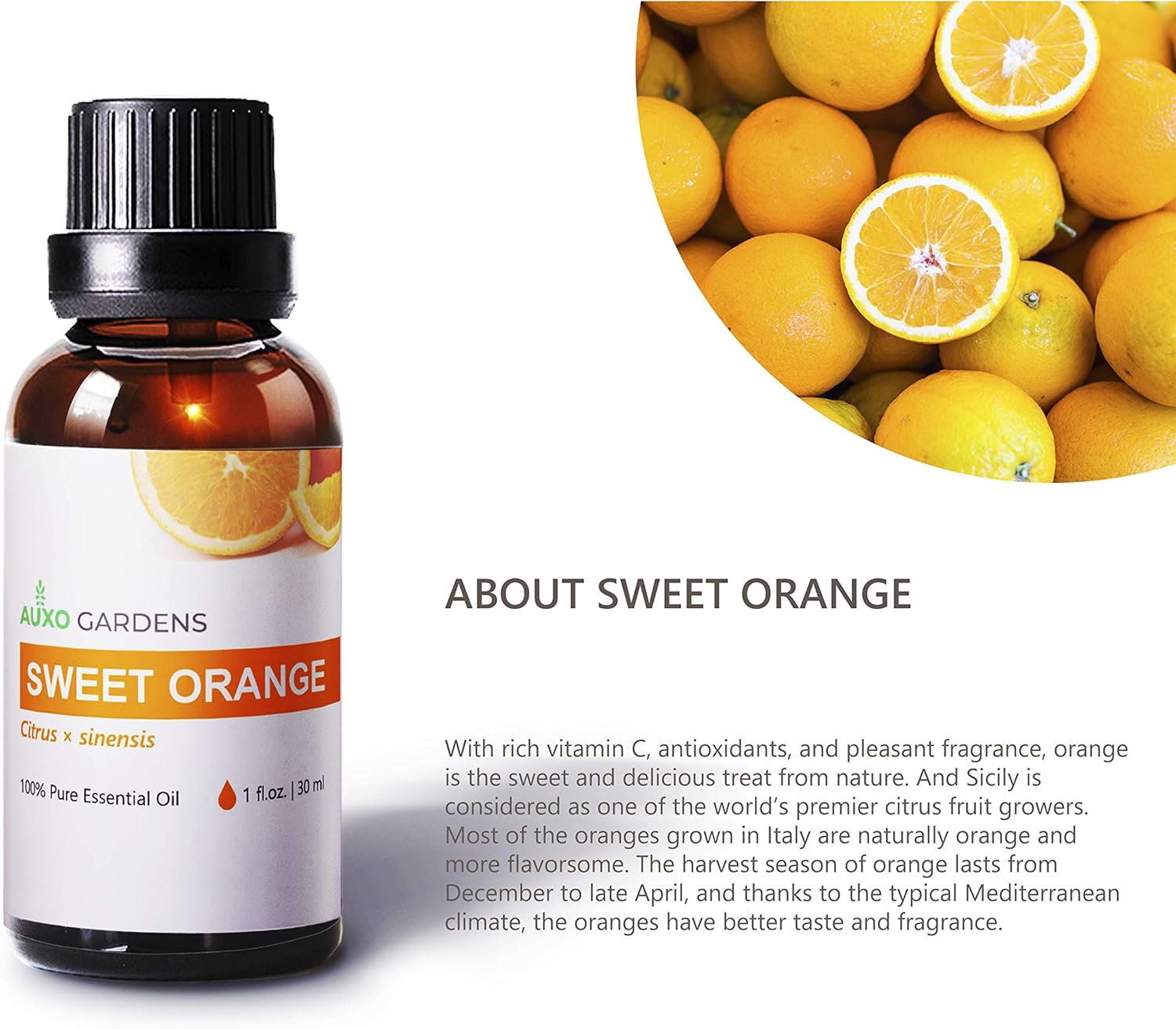 Sweet Orange Essential Oil 1 oz (30ml) -100% Natural and Pure Therapeutic Grade-Premium Quality Italian Orange Oil