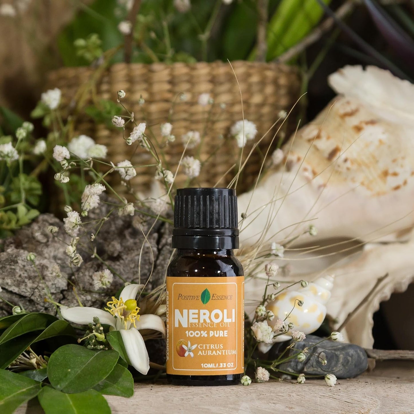 Neroli Essence Oil – Citrus Aurantium Essence Oil, Bright and Refreshing Natural Citrus Aroma for Diffuser, Home Fragrance, and Skin Care – 10mL (0.33 fl oz)
