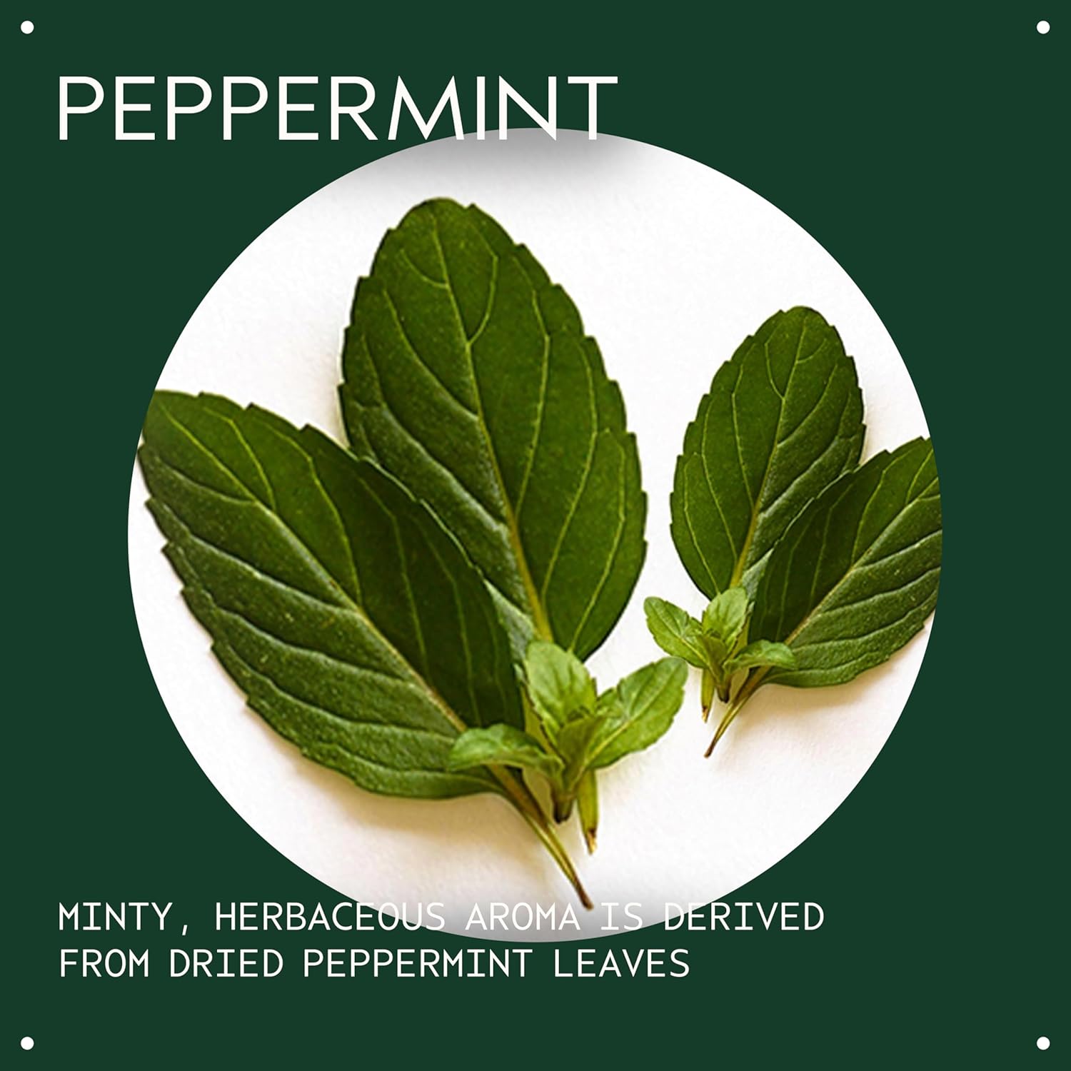 Aveda Peppermint Essential Oil + Base | Refreshing Aroma | for Body & Bath, 1 Fl Oz
