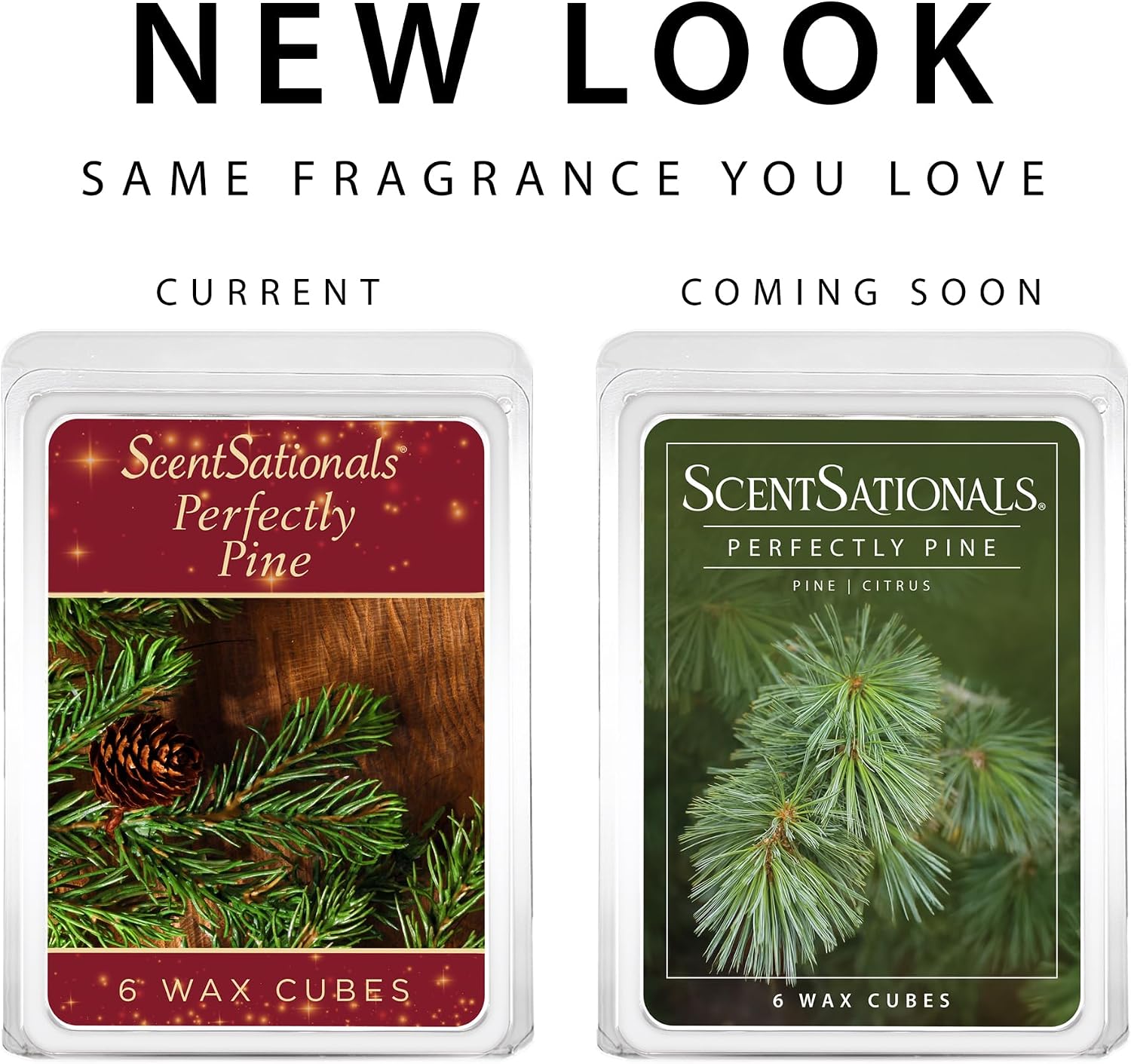 ScentSationals Perfectly Pine Scented Wax Melts - Pine Tree & Citrus, 10oz (24 Cubes)